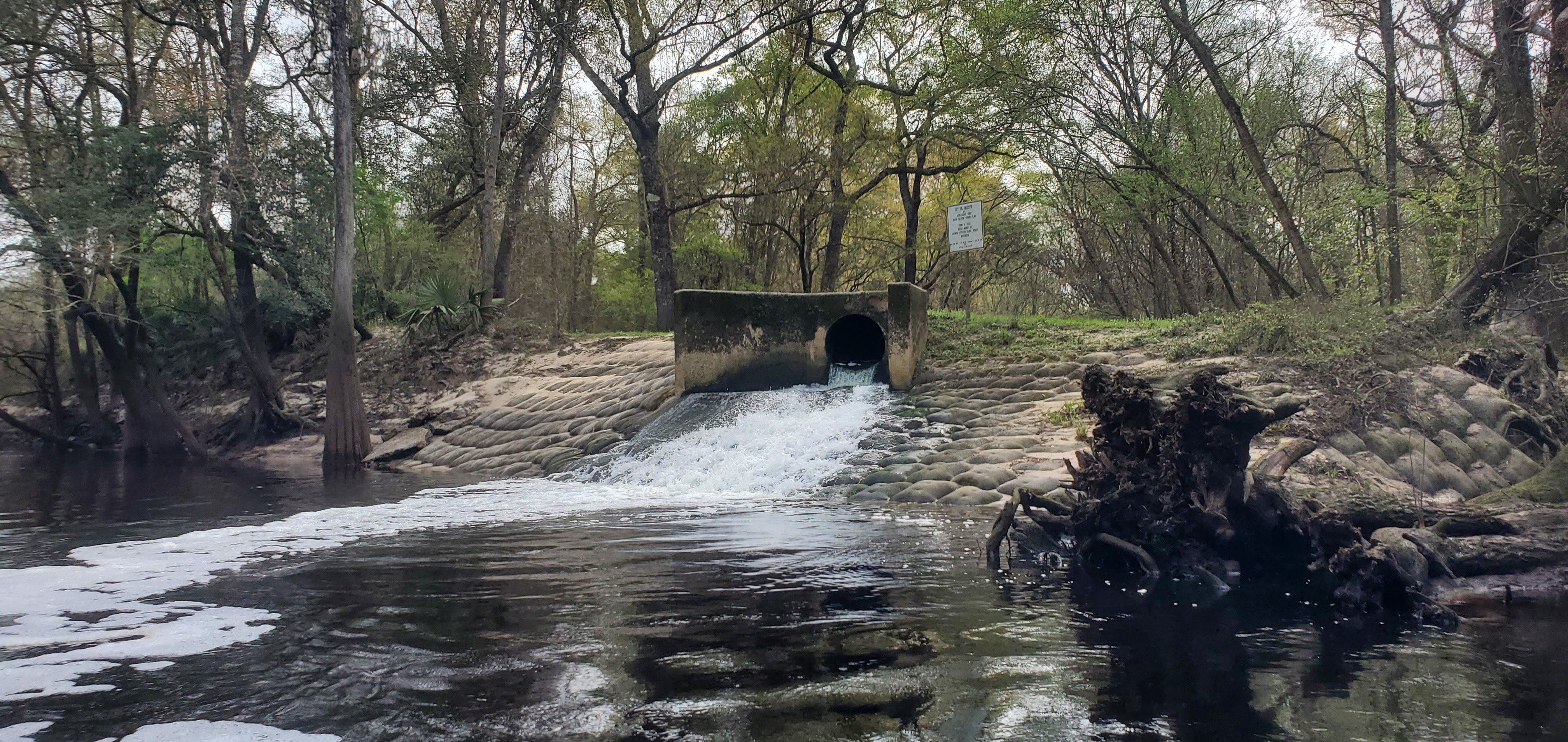 Valdosta WWTP clean outfall, 10:50:40, 30.8361045, -83.3595411