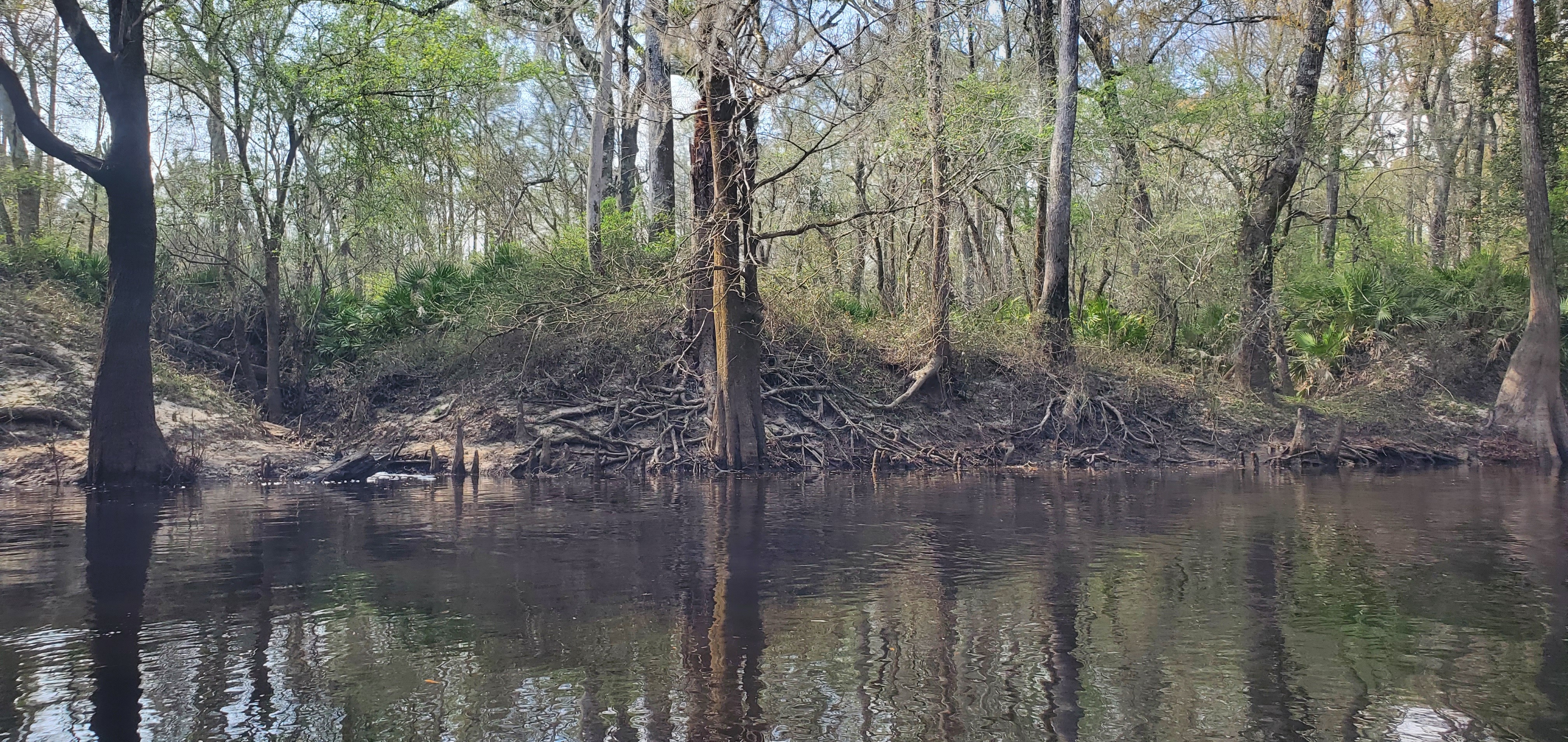 Dykes Lane Creek, 14:09:29, 30.8106338, -83.4507096