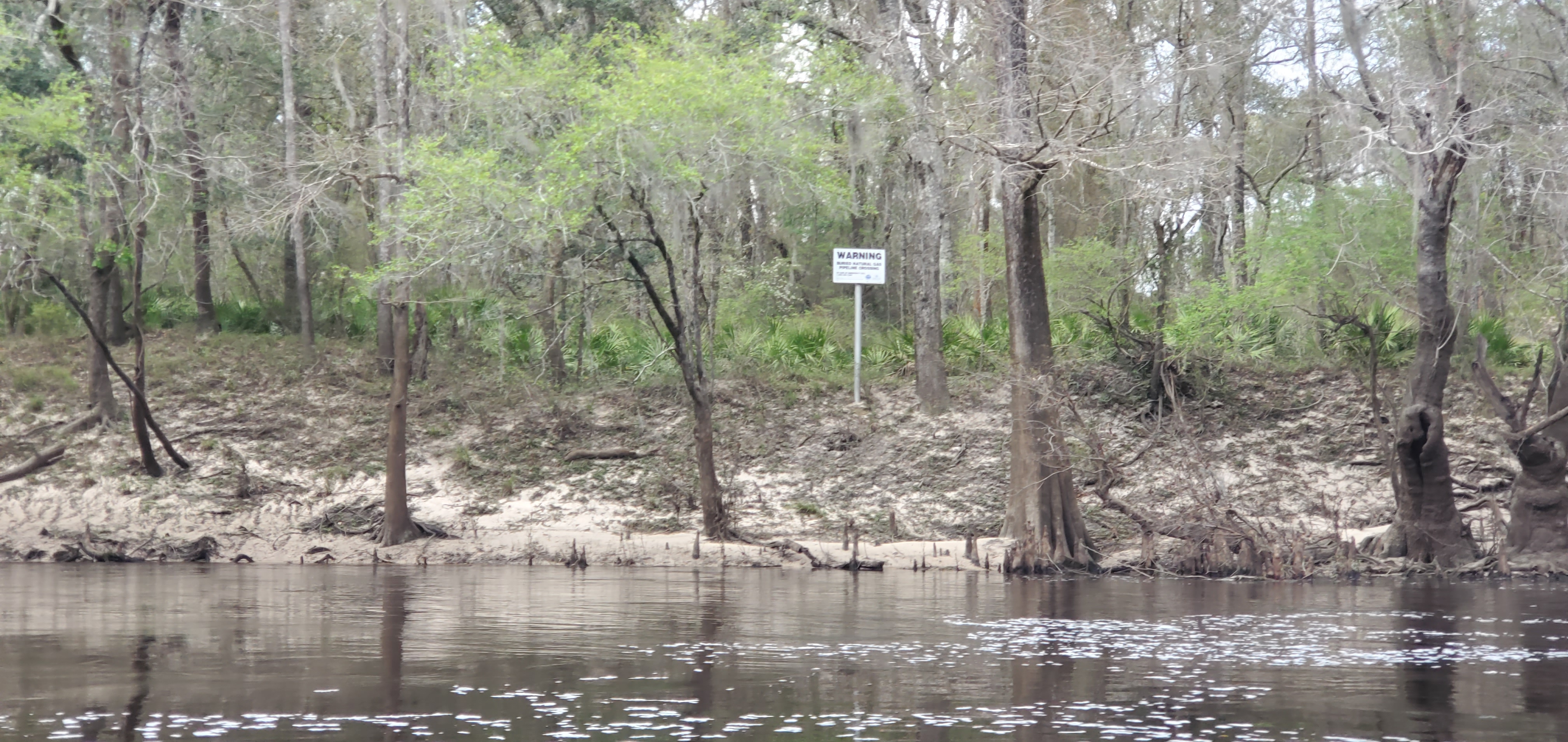 Right bank, Sabal Trail Pipeline, 14:34:16, 30.7952462, -83.4524695