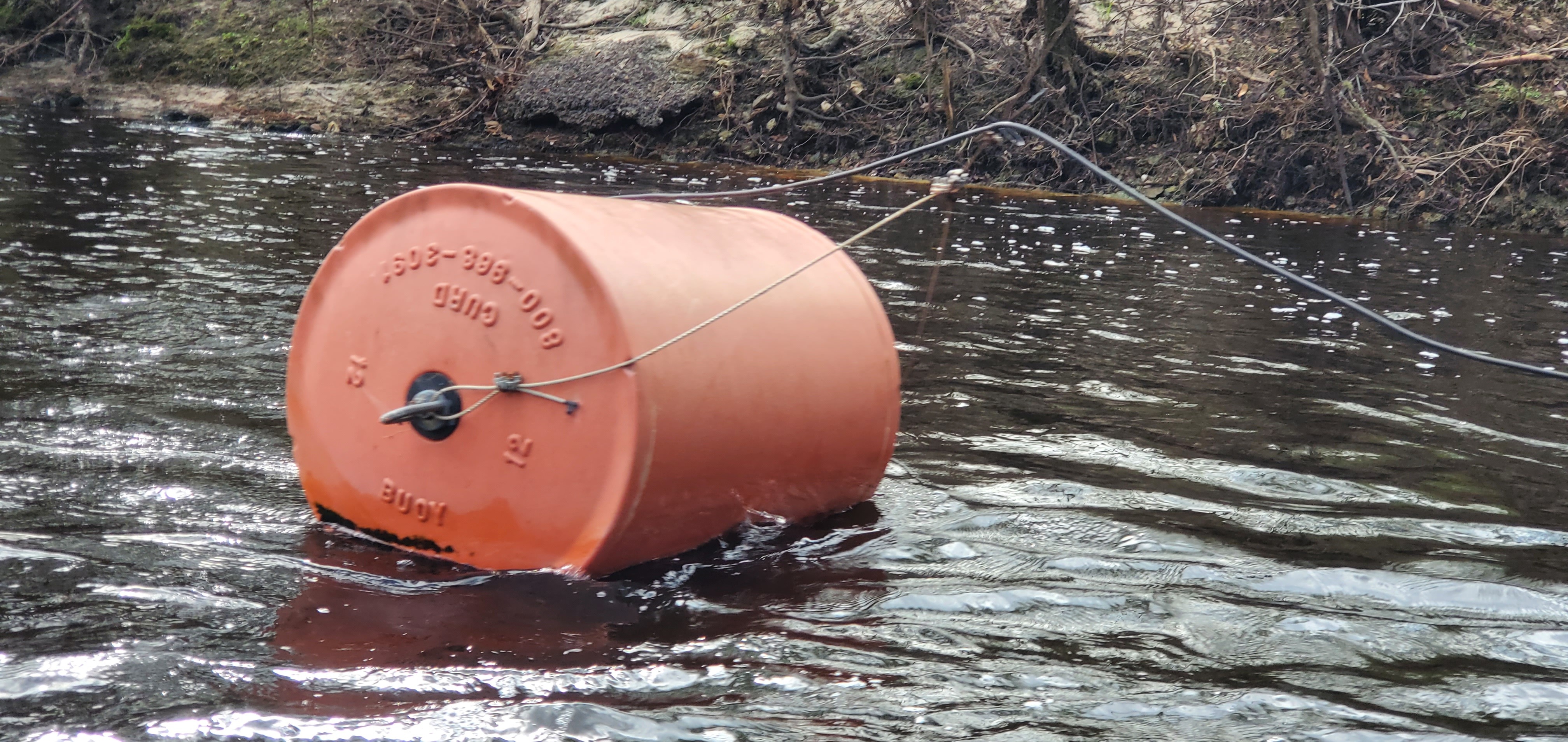 Quitman (US 84) Gauge buoy, 14:36:55, 30.7936501, -83.4535022