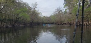 [Downstream Withlacoochee River from Little River Confluence, 10:25:39, 30.8468020, -83.3479170]