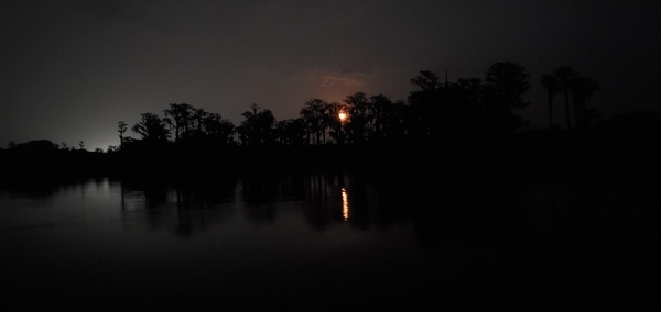 [Lakeland lights and higher moon]