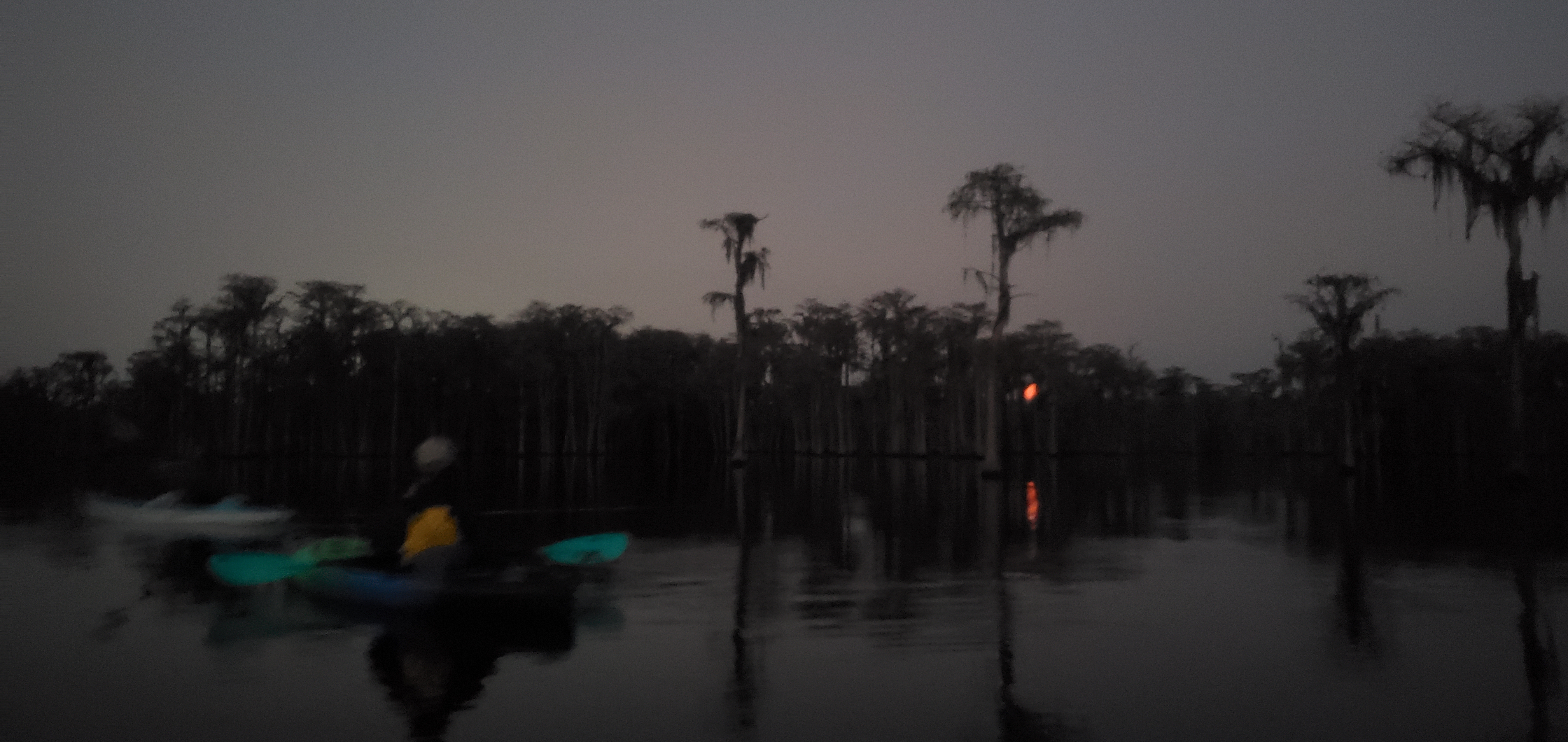 Moonrise in cypress