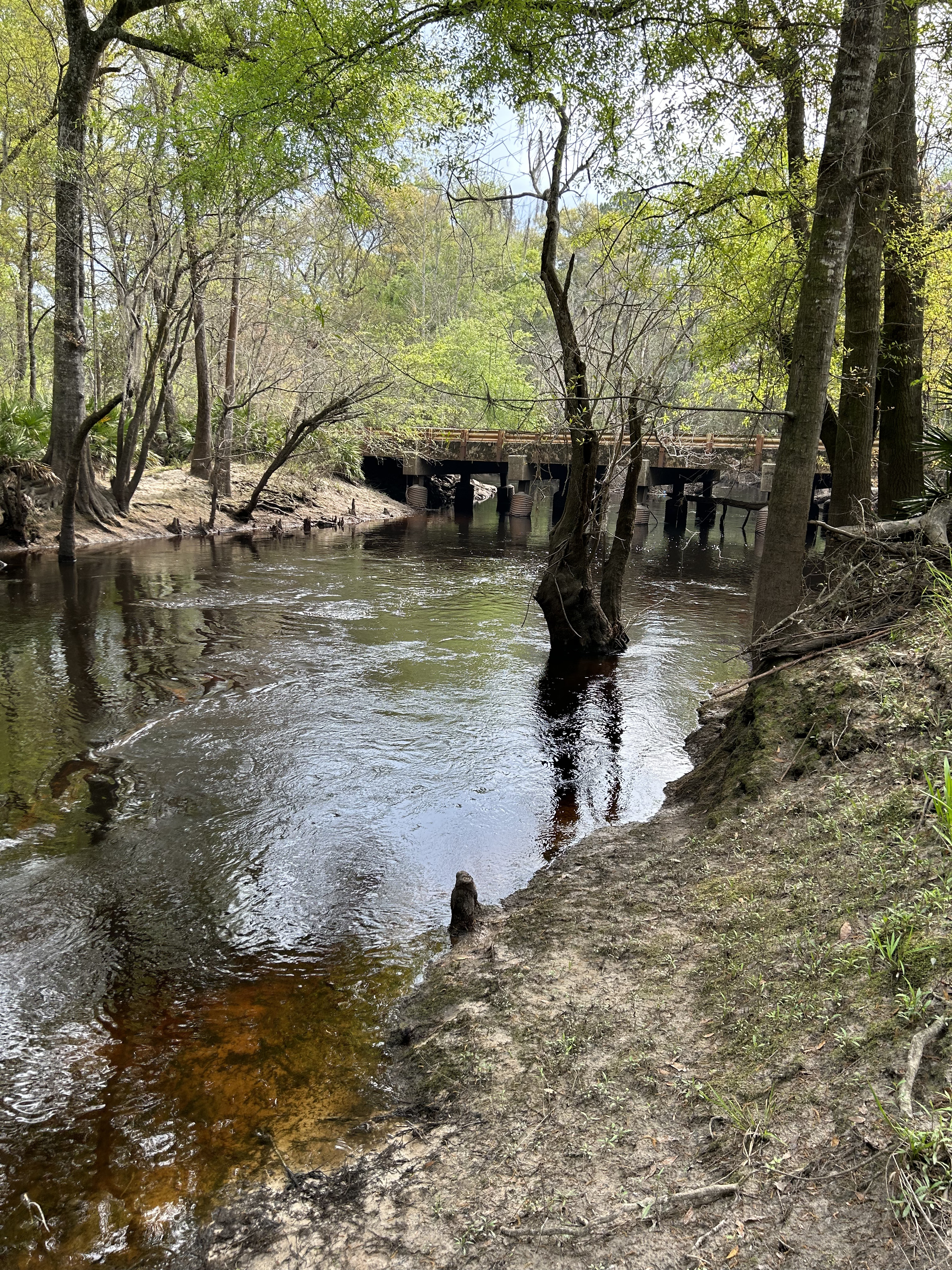 Franklinville, Withlacoochee River @ Frankinville Road 2023-03-09