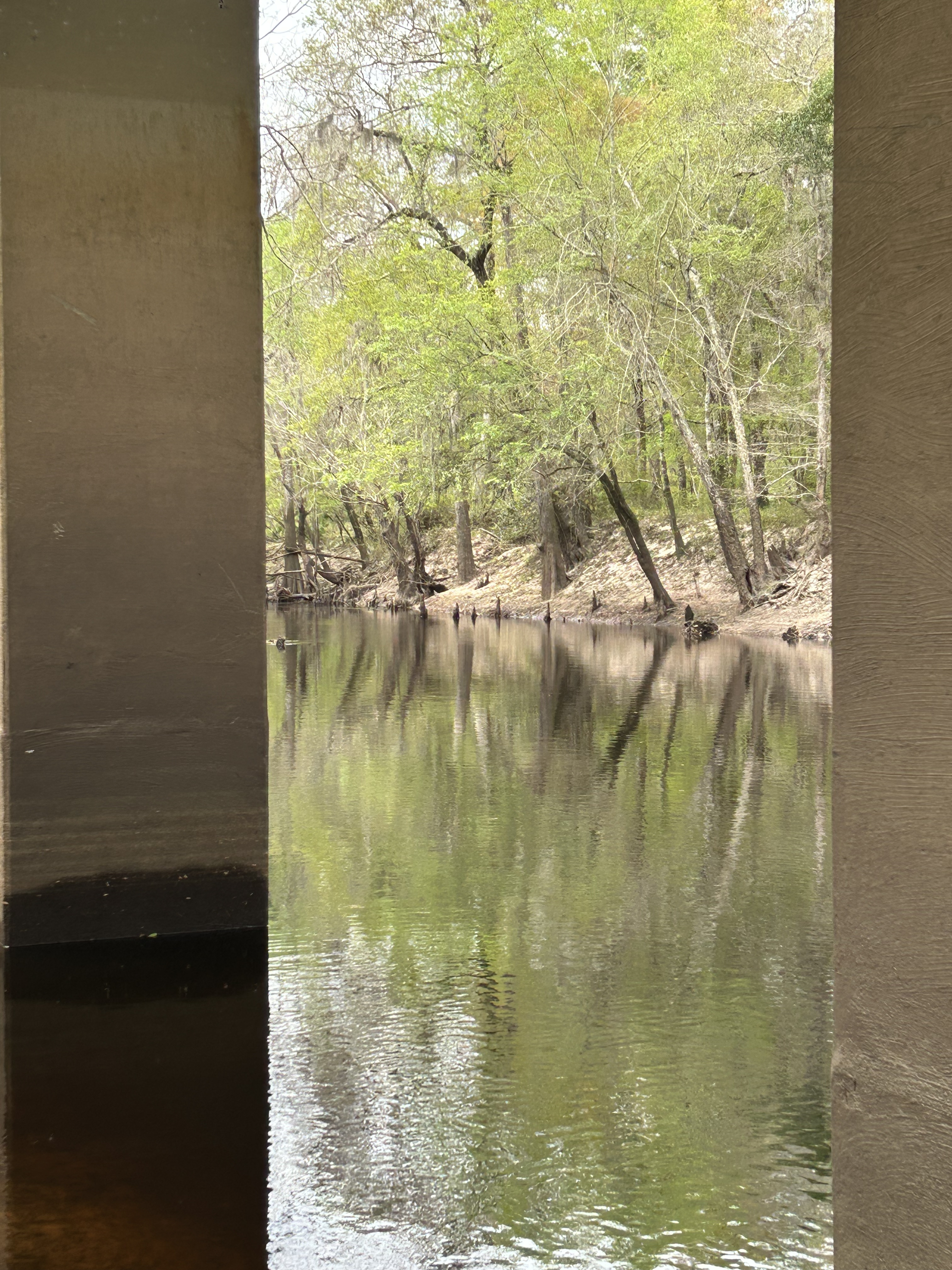 Skipper Bridge, Withlacoochee River @ Skipper Bridge Road 2023-03-09