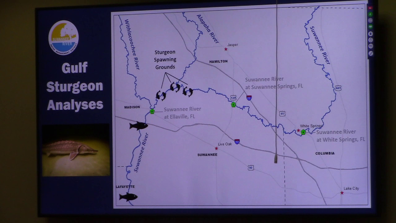 Gulf Sturgeon Analyses