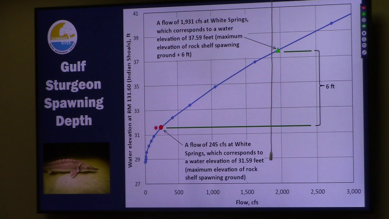 Gulf Sturgeon Spawning Depth