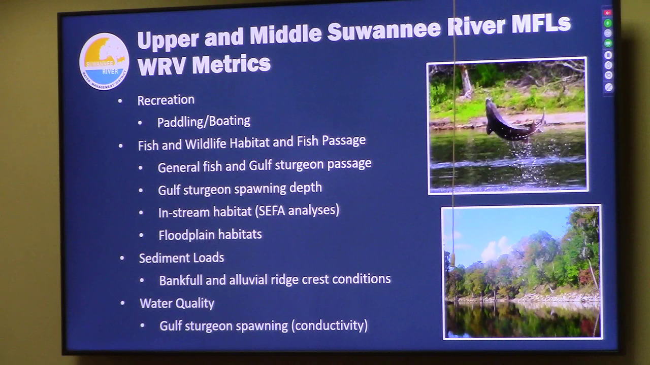 Upper And Middle Suwannee River MFLs WRV Metrics