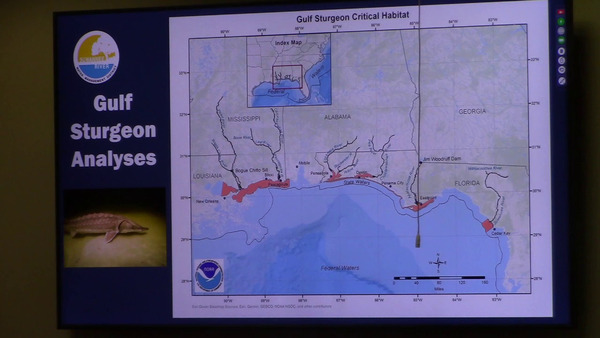 [Gulf Sturgeon Critical Habitat]