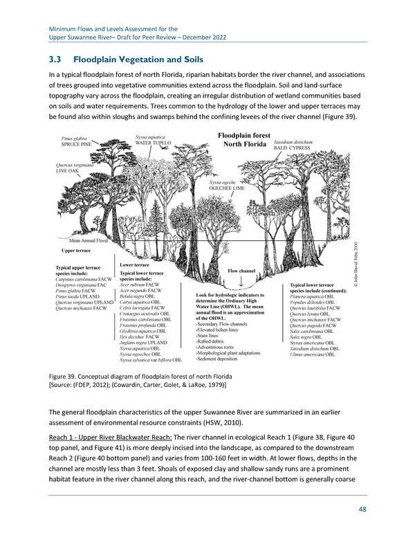 Figure 39. Conceptual diagram of floodplain forest of north Florida [Source: (FDEP, 2012); (Cowardin, Carter, Golet, & LaRoe, 1979)]