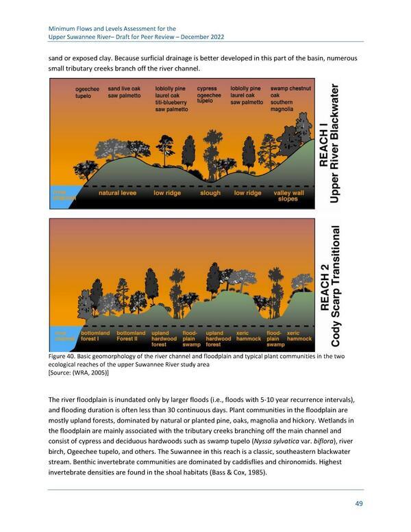 Figure 40. Basic geomorphology of the river channel and floodplain and typical plant communities in the two ecological reaches of the upper Suwannee River study area [Source: (WRA, 2005)]