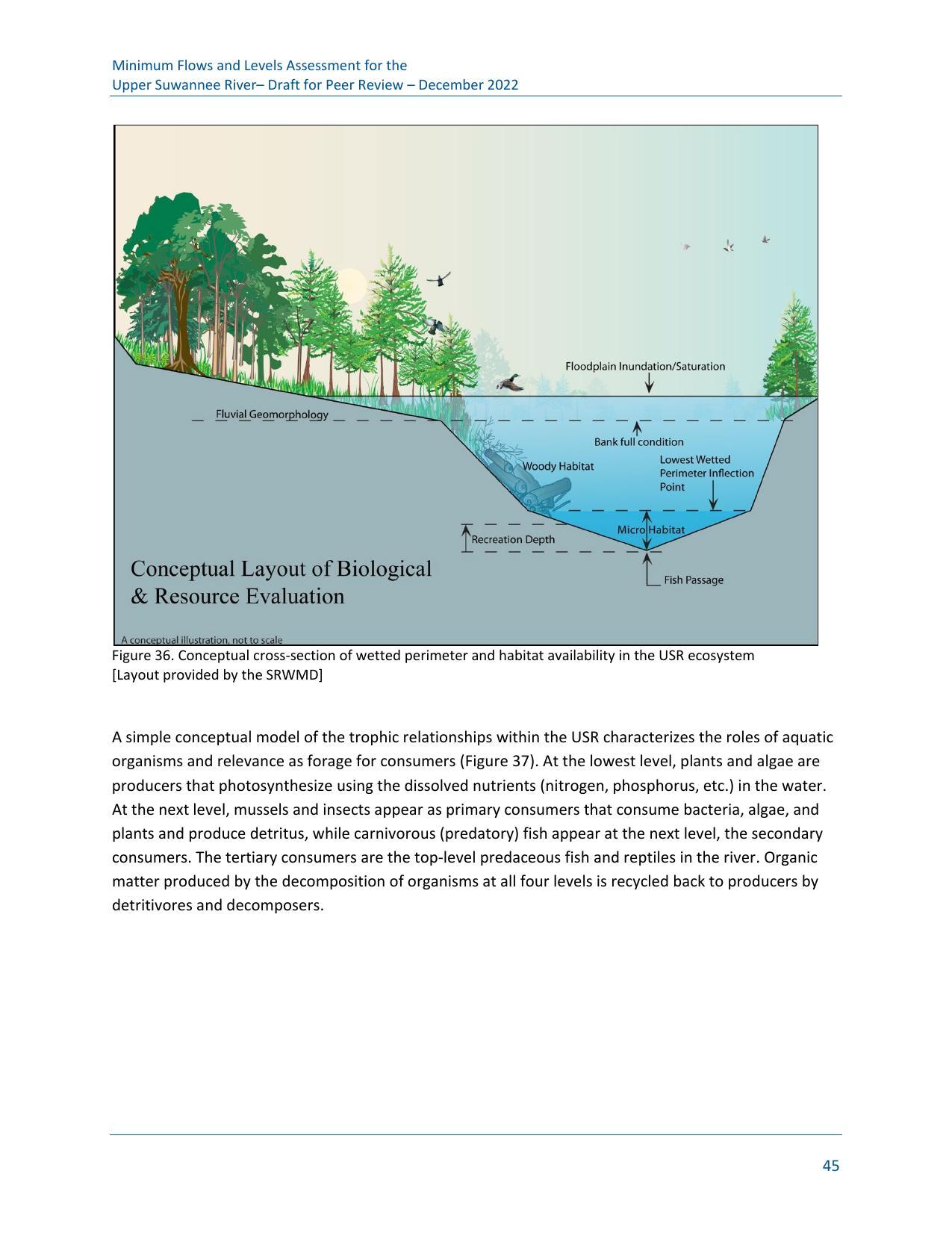 Figure 36. Conceptual cross-section of wetted perimeter and habitat availability in the USR ecosystem [Layout provided by the SRWMD]