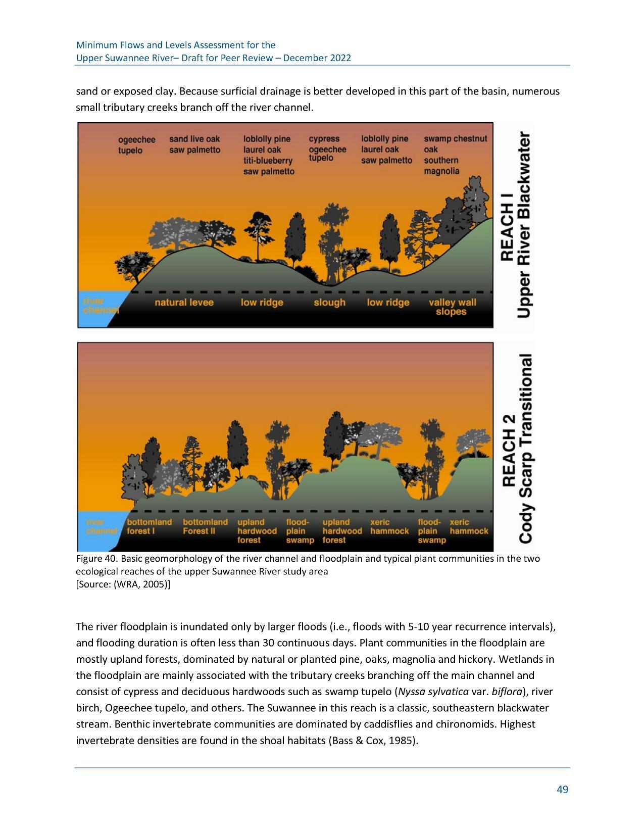 Figure 40. Basic geomorphology of the river channel and floodplain and typical plant communities in the two ecological reaches of the upper Suwannee River study area [Source: (WRA, 2005)]