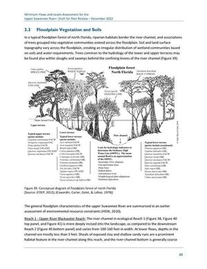 [Figure 39. Conceptual diagram of floodplain forest of north Florida [Source: (FDEP, 2012); (Cowardin, Carter, Golet, & LaRoe, 1979)]]