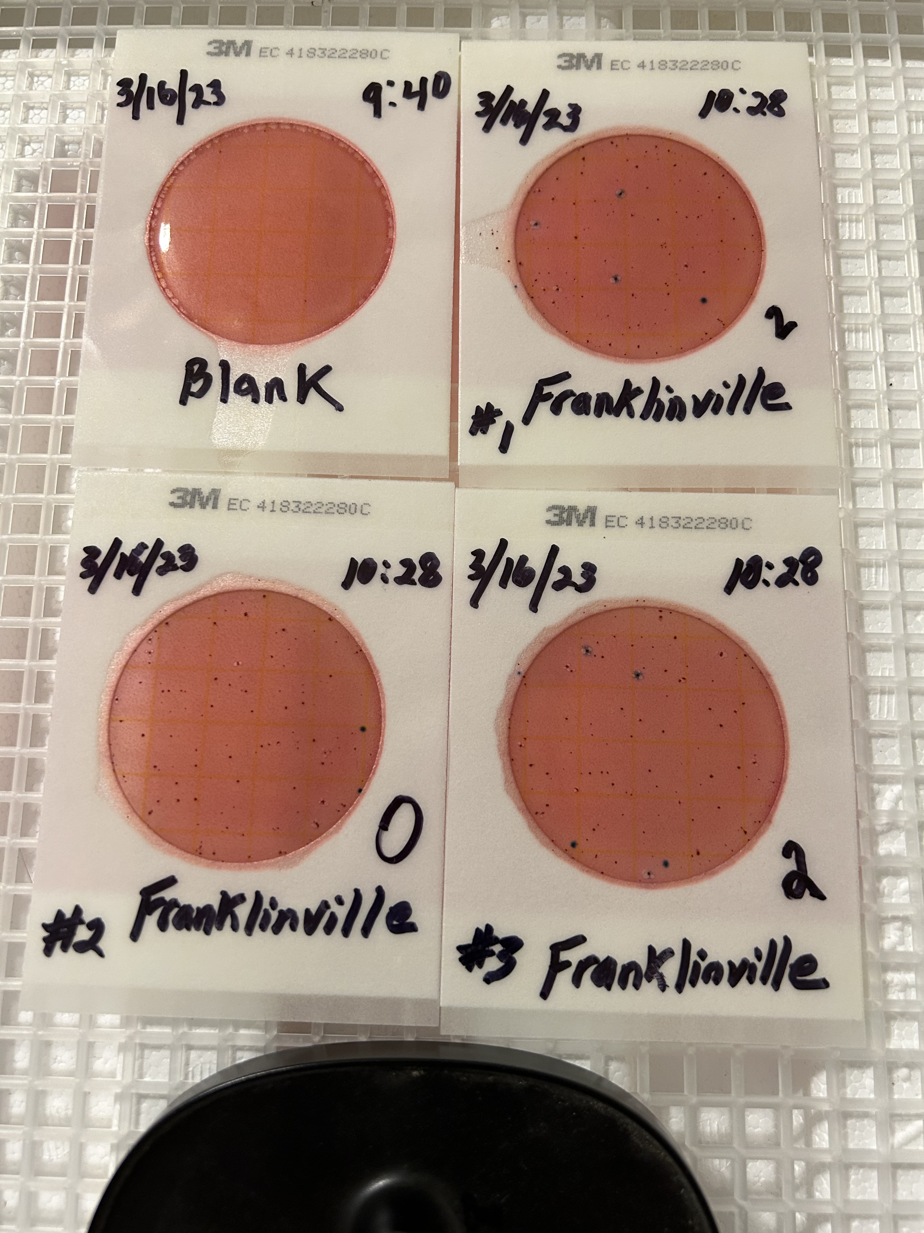 Plates, Franklinville 2023-03-16