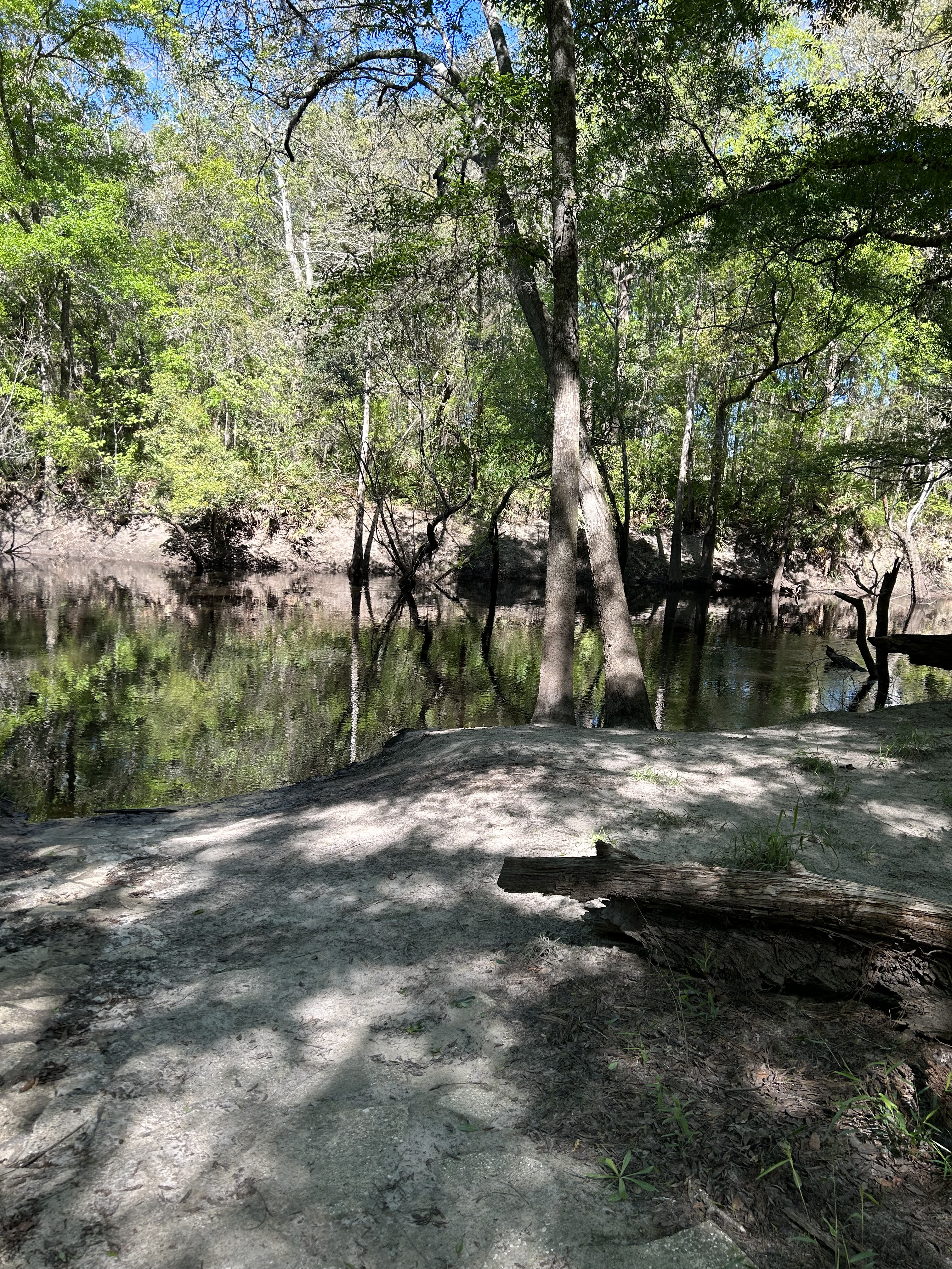 Staten Road, Withlacoochee River @ Staten Road 2023-03-16