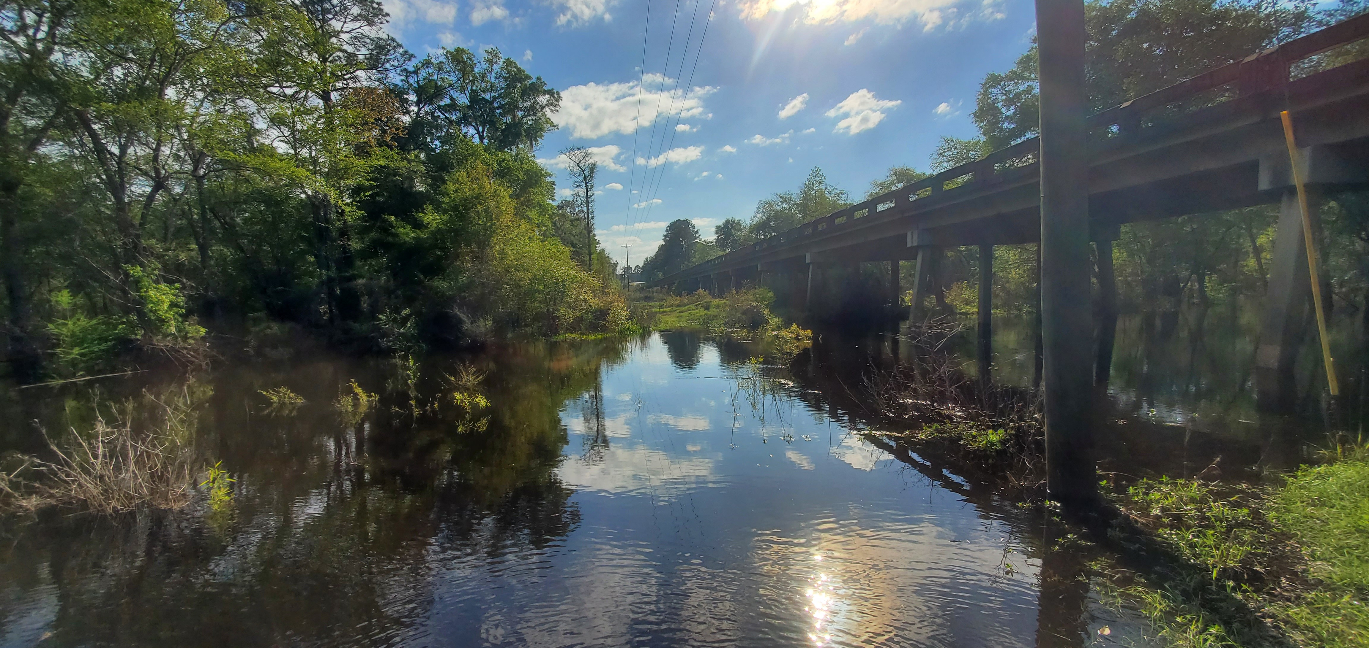 Across, Withlacoochee River, 2023:03:21 17:16:44, 31.0963861, -83.3159366