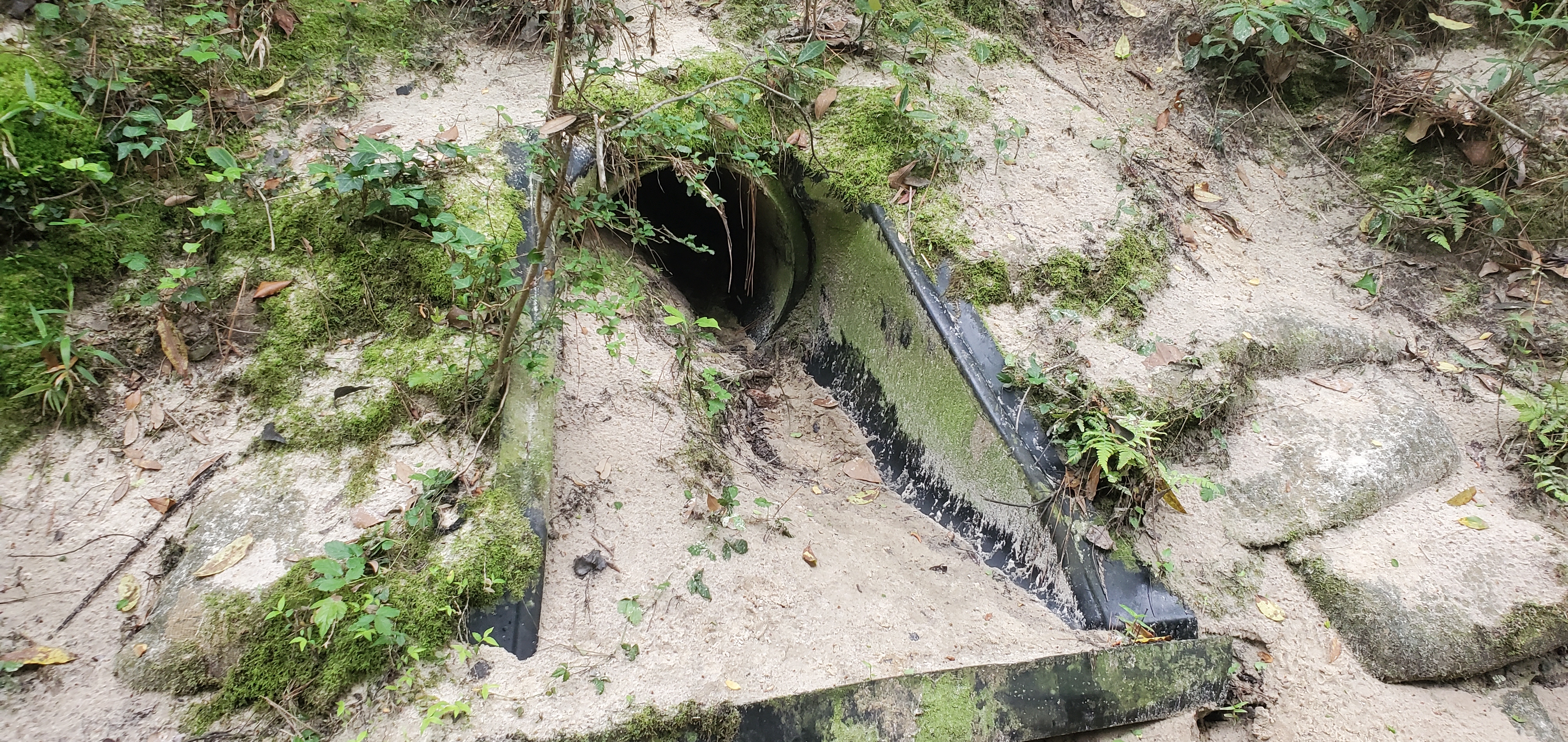 Water pipe outflow under a yard, 608 Howellbrook Drive, 2023:03:25 10:07:50, 30.8617220, -83.2991020