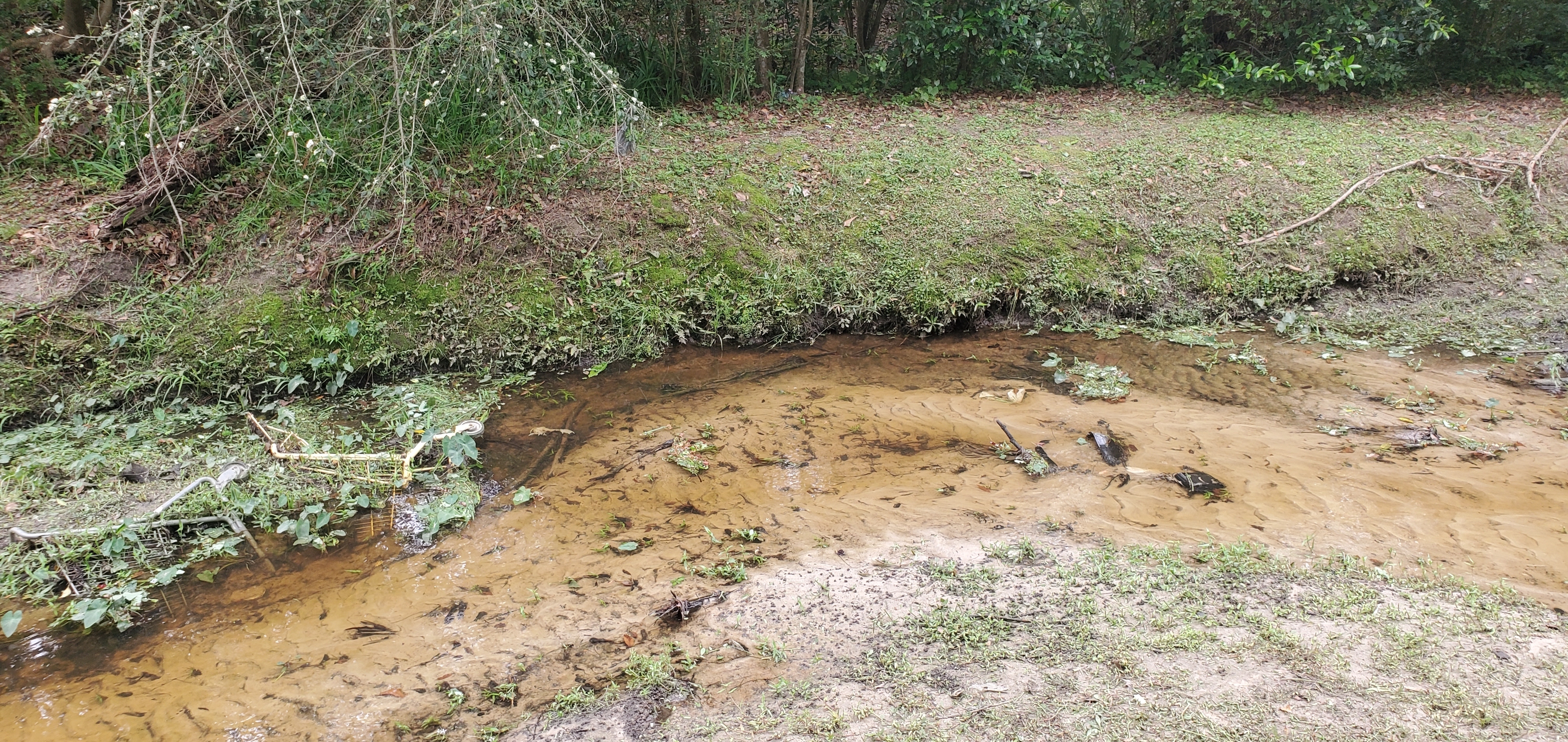 Shopping buggy trash washed downstream, Two Mile Branch, 2023-03-29, 15:58:03, 30.8675860, -83.2853140