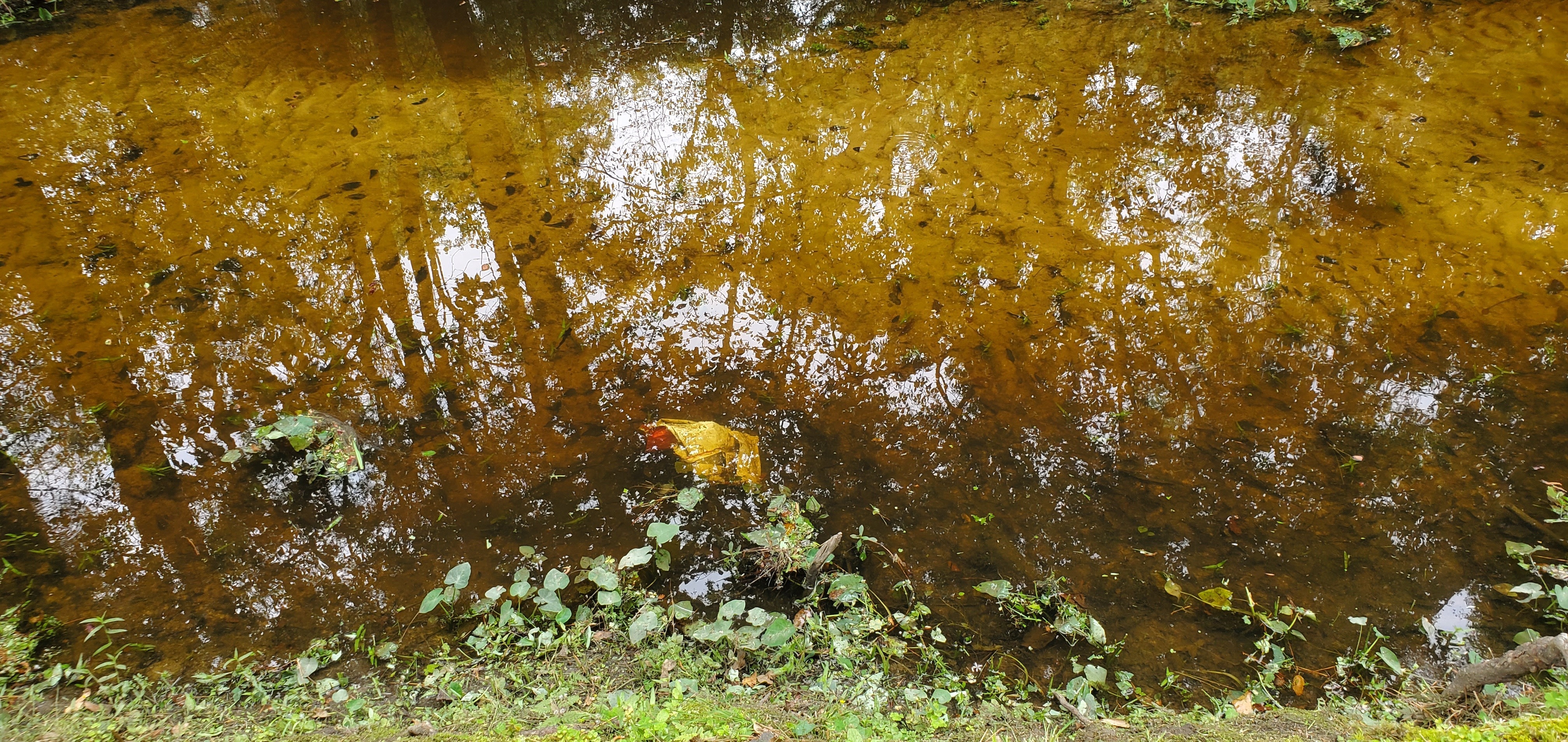 Submerged trash, Two Mile Branch, 2023-03-29, 15:58:27, 30.8675856, -83.2853142