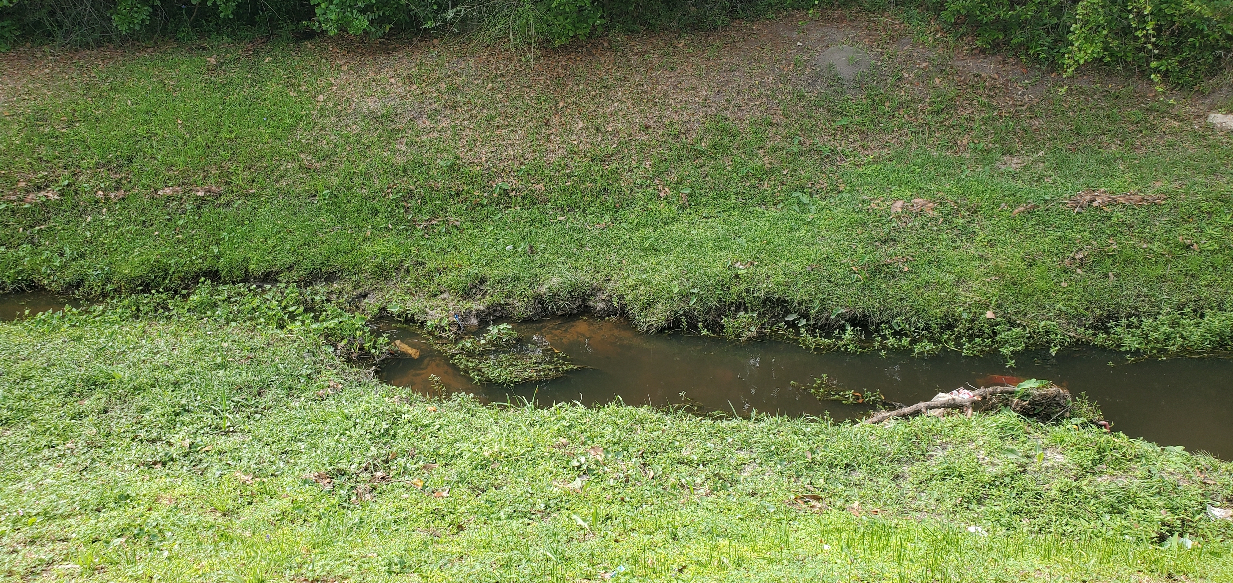 One Mile Branch downstream from Lee Street, 16:19:44