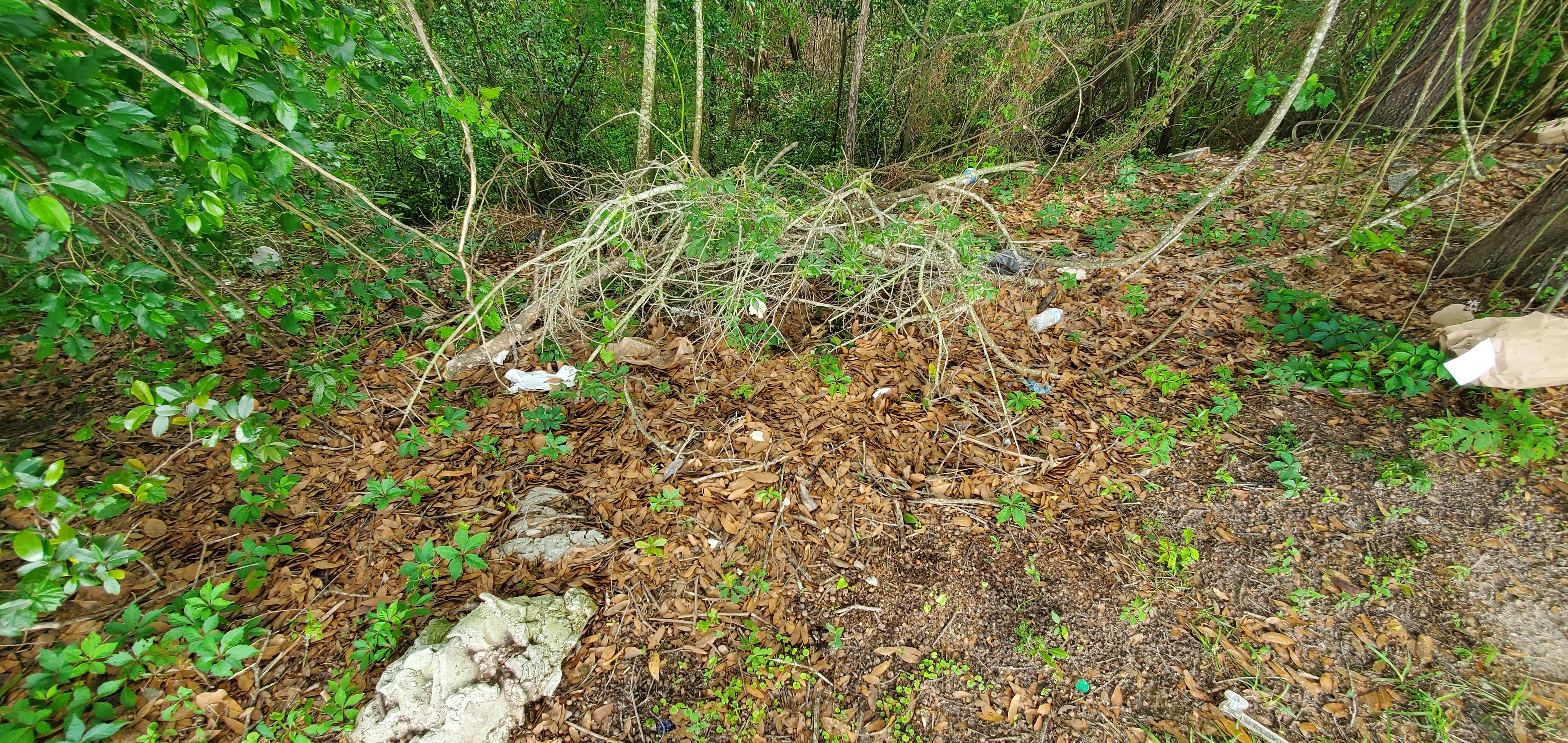 Trash, parking lot, St. Augustine Road, Hightower Creek, 16:50:30, 30.8366428, -83.3164919