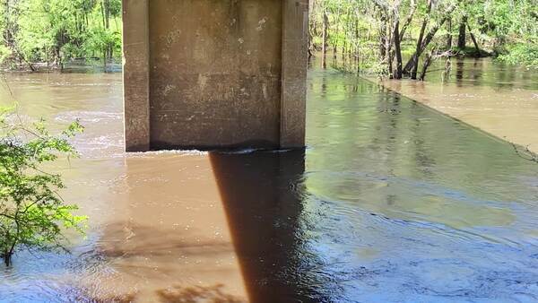 Movie: Water Level and Flow, Nankin Boat Ramp, Withlacoochee River @ Clyattville-Nankin Road 2023-03-30