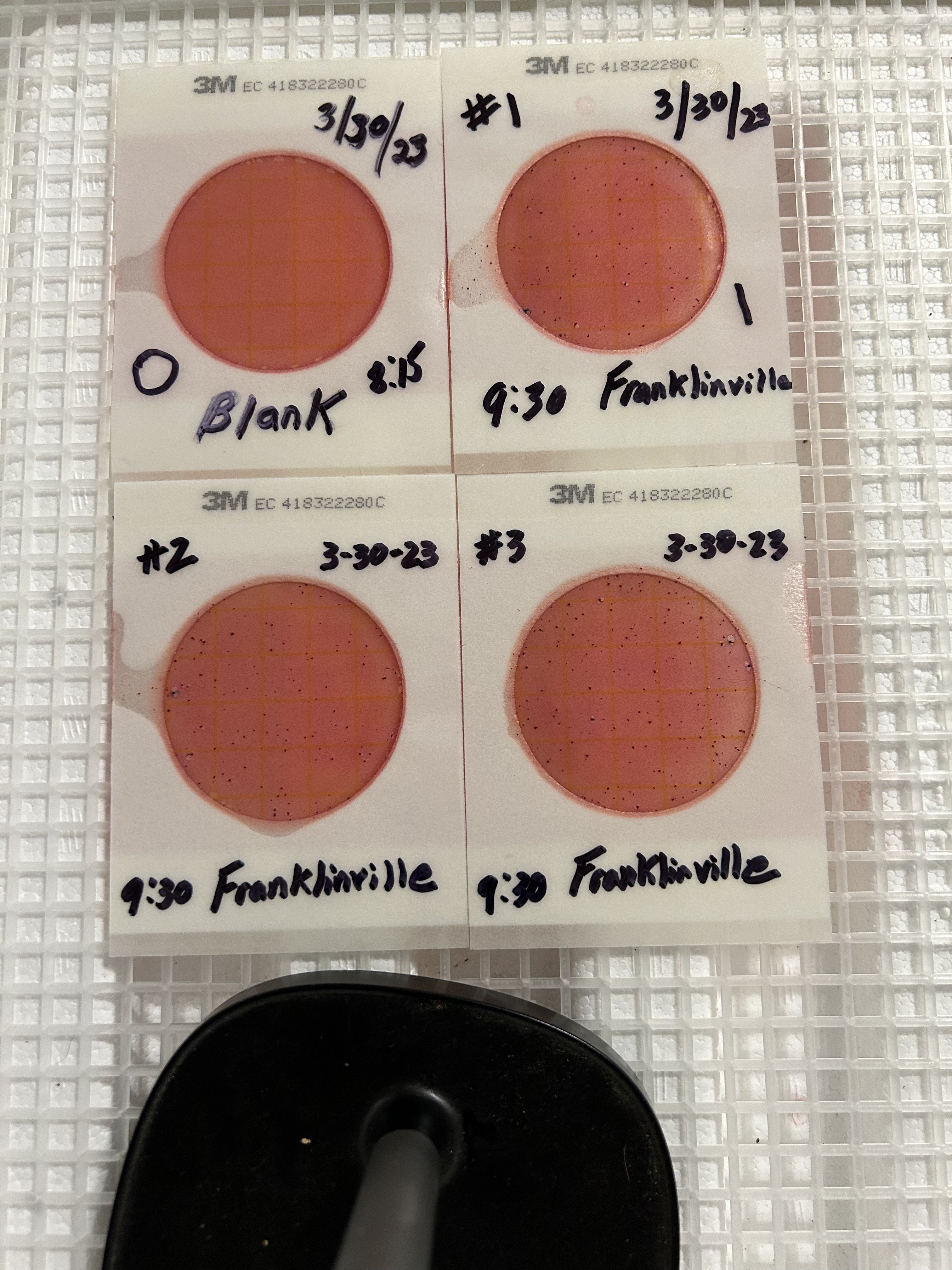 Plates, Franklinville 2023-03-30