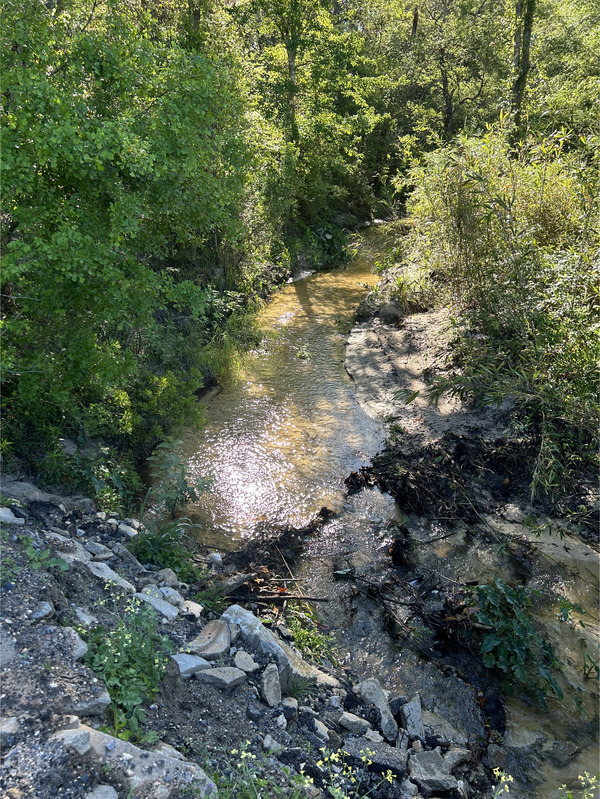 Crawford Branch, Withlacoochee River @ Skipper Bridge Road 2023-04-06