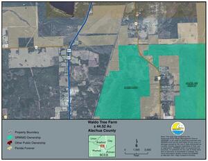 [Location map: +/- 44.52 Acres, Alachua County]