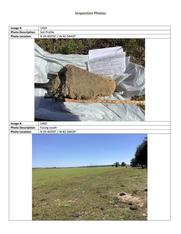 Inspection Photos: Soil Profile and Facing south