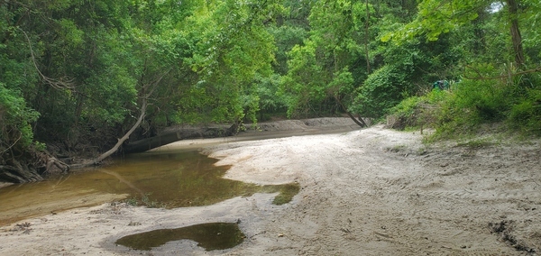 Upstream Sugar Creek; Two Mile Branch comes in at the left