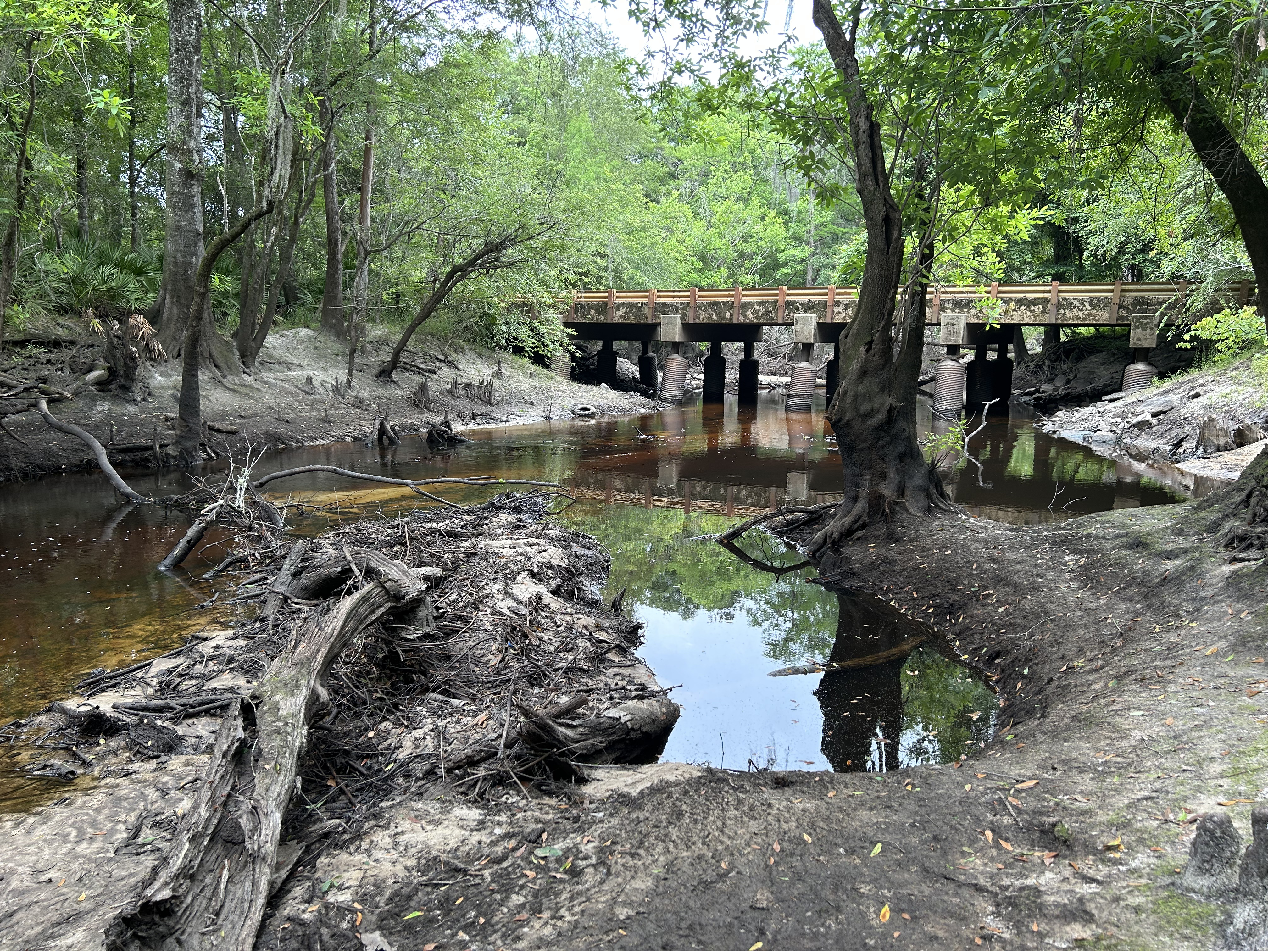 Franklinville, Withlacoochee River @ Frankinville Road 2023-05-11