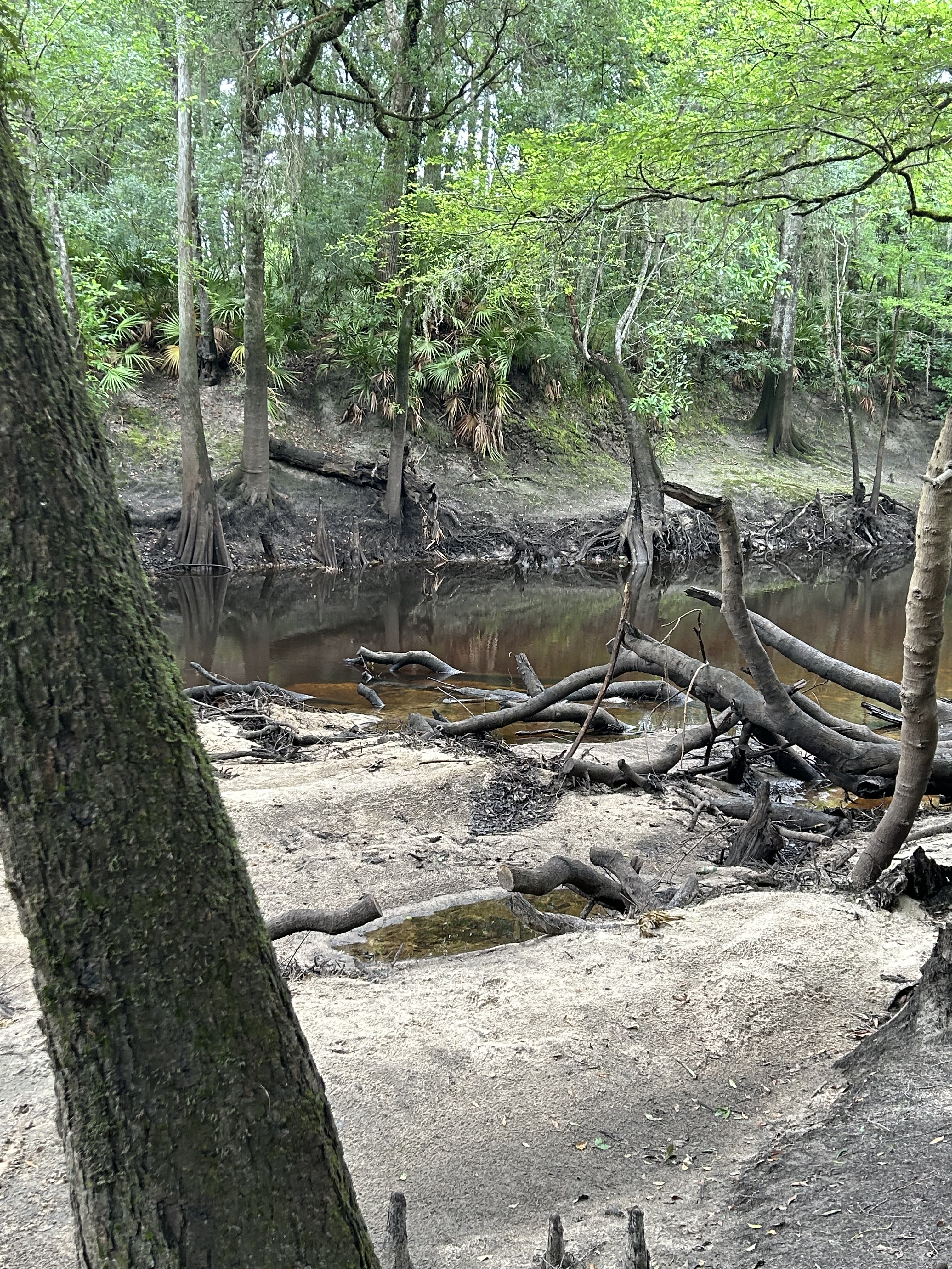 Staten Road, Withlacoochee River @ Staten Road 2023-05-11