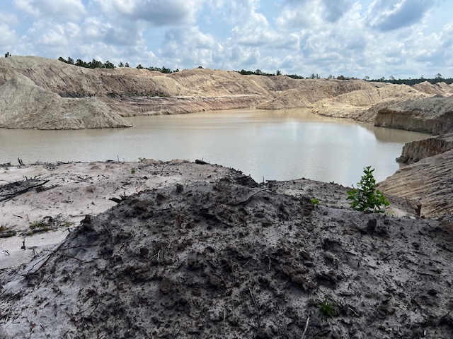 Heaps and pond