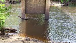 [Movie: Level and Flow, Nankin Boat Ramp, Withlacoochee River @ Clyattville-Nankin Road 2023-05-18]