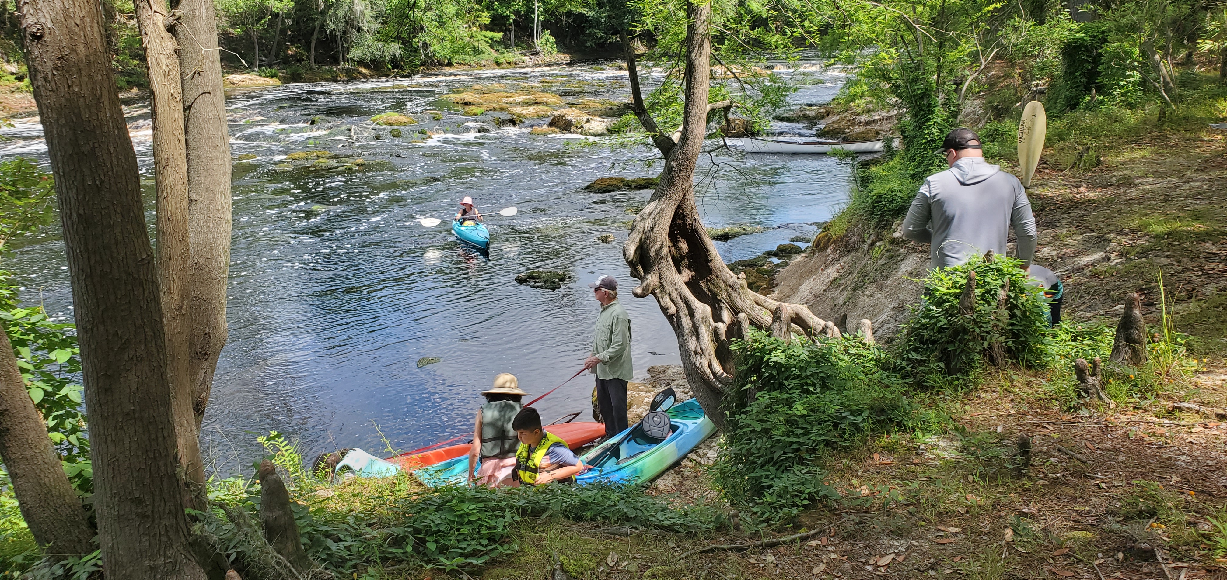 Portage put in just below Big Shoals, 11:11:20, 30.3396910, -82.6828381