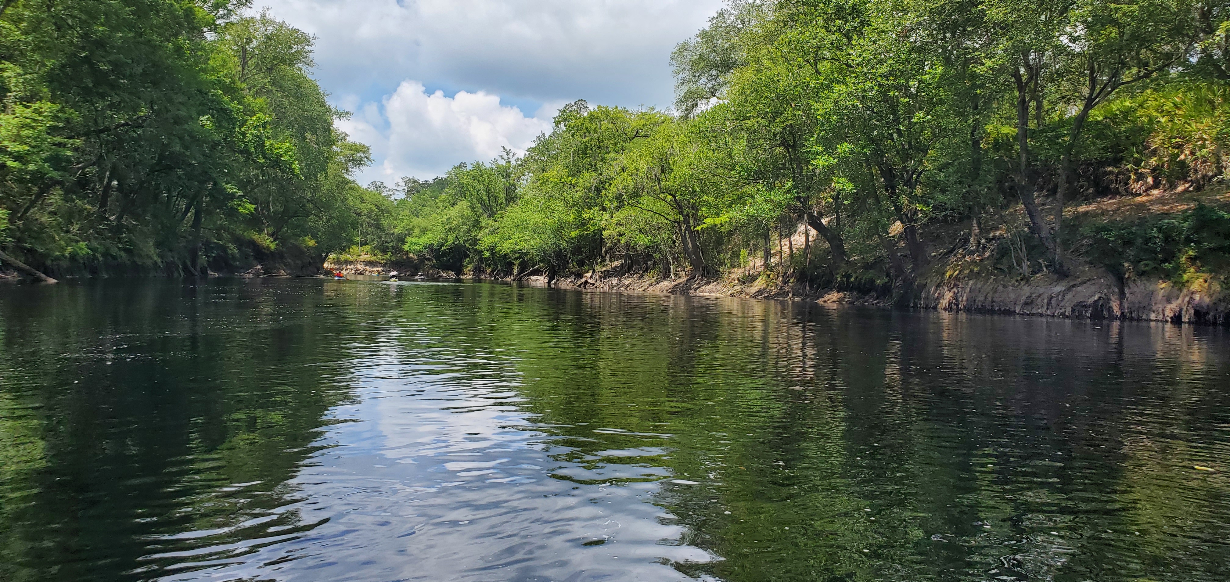 Idyllic blackwater river, 12:05:28, 30.3360218, -82.6871025