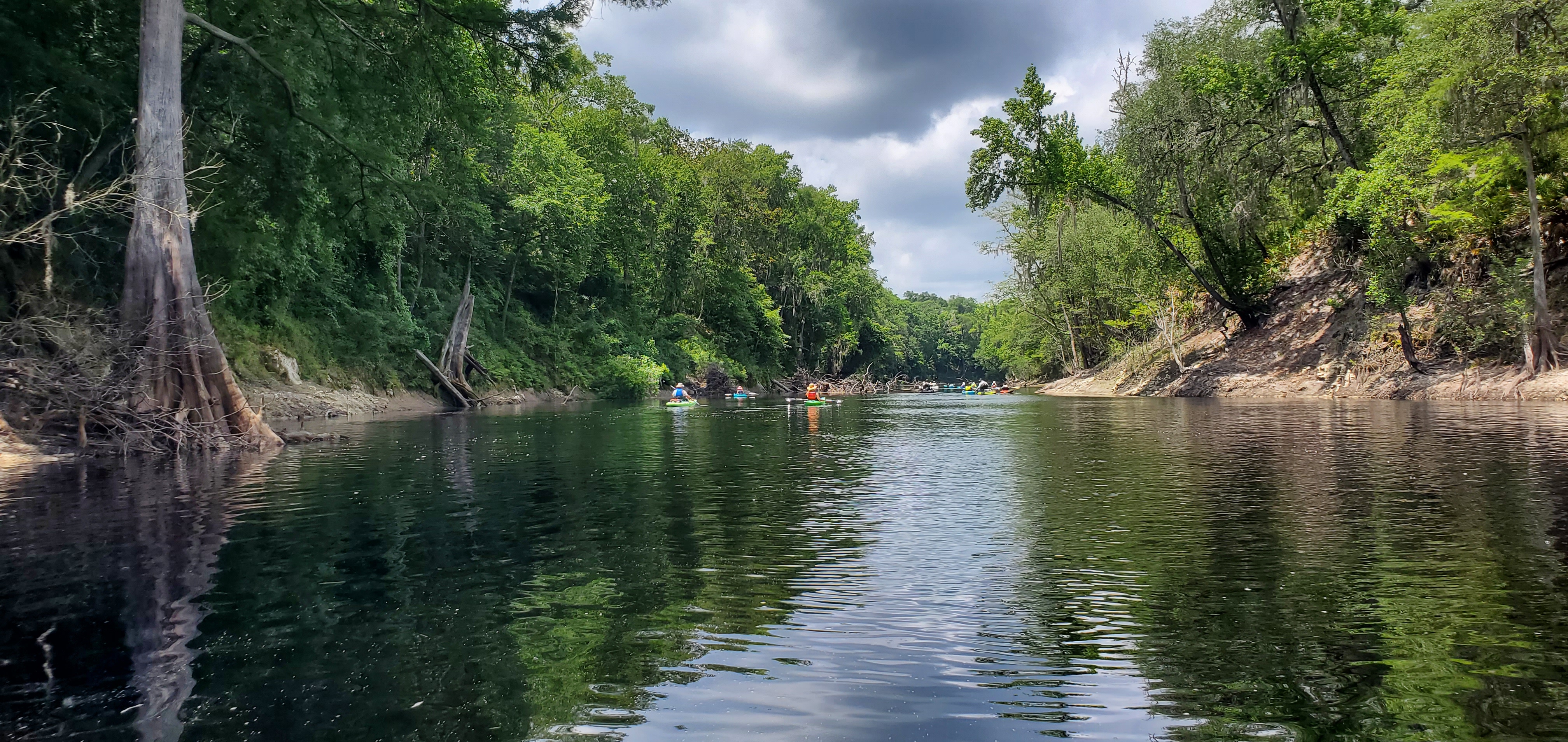 Context, Paddling past some deadfalls, 12:10:38, 30.3333037, -82.6895578