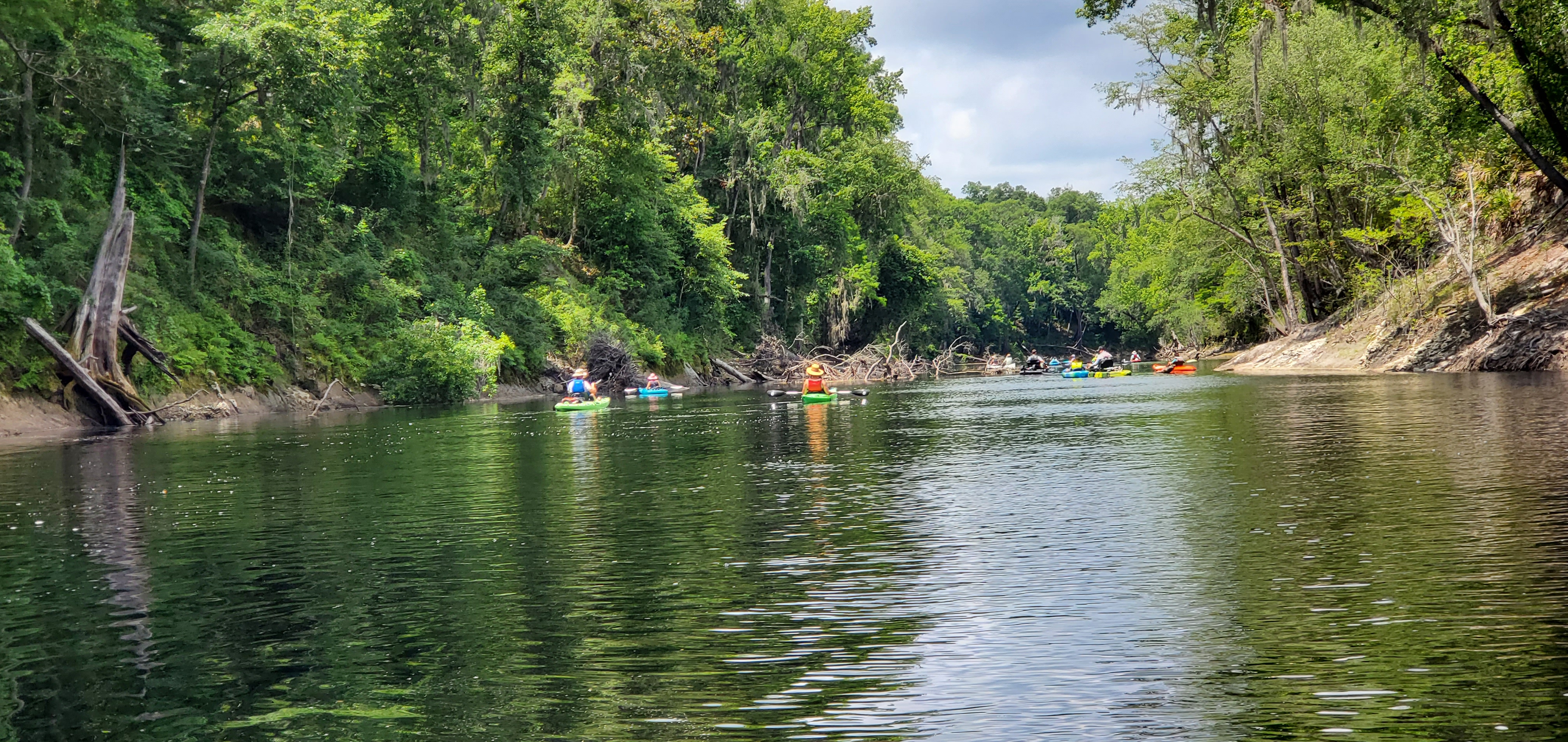 Paddling past some deadfalls, 12:10:42, 30.3333037, -82.6895578