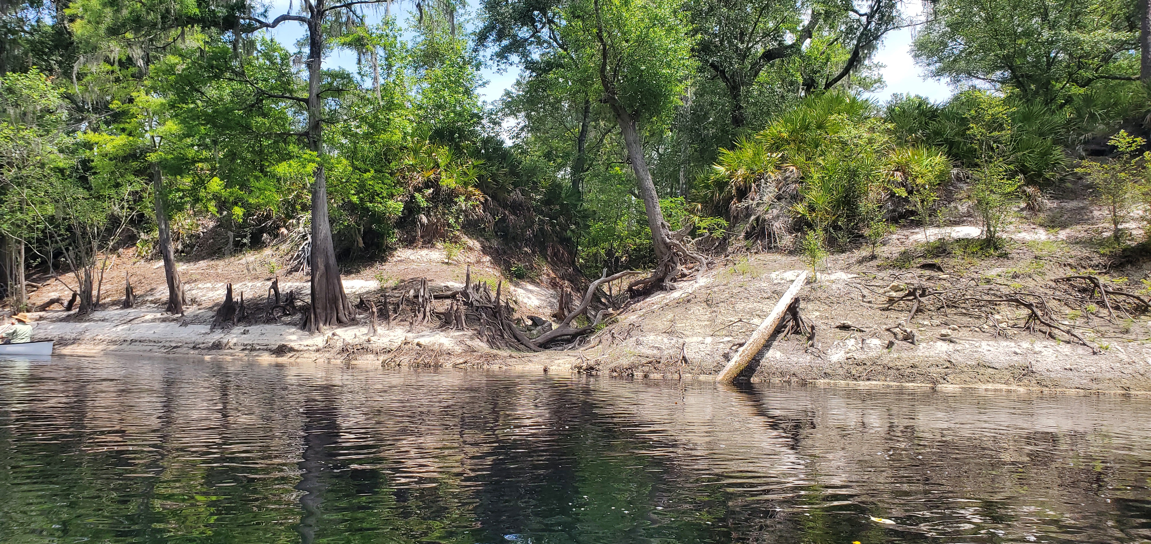 Right Bank Dry Runoff, 12:20:32, 30.3329108, -82.6963363