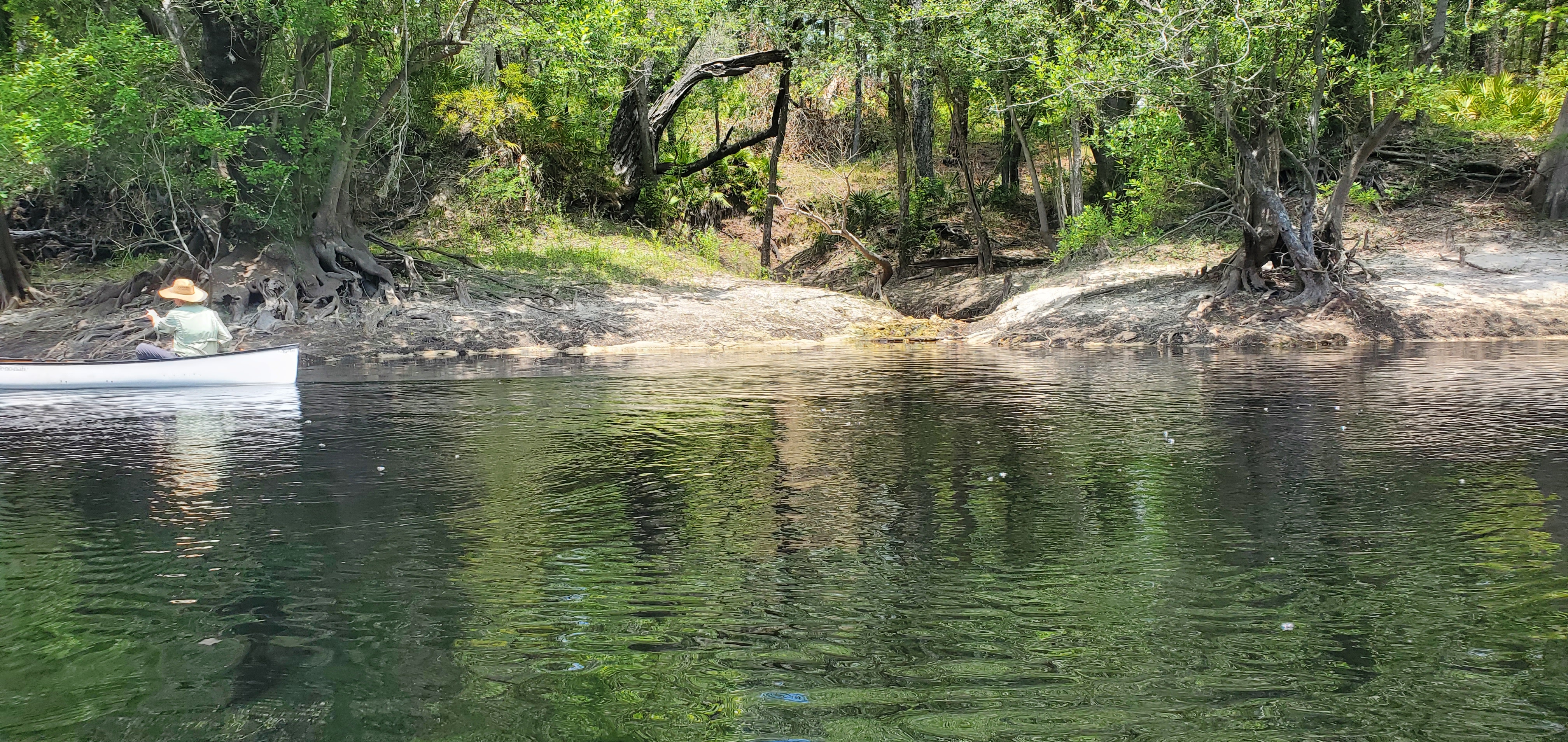 Big Shoals Main Creek, 12:41:33, 30.3295534, -82.7085783