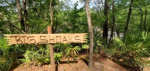 [Big Shoals behind sign, 11:04:52, 30.3397569, -82.6828750]