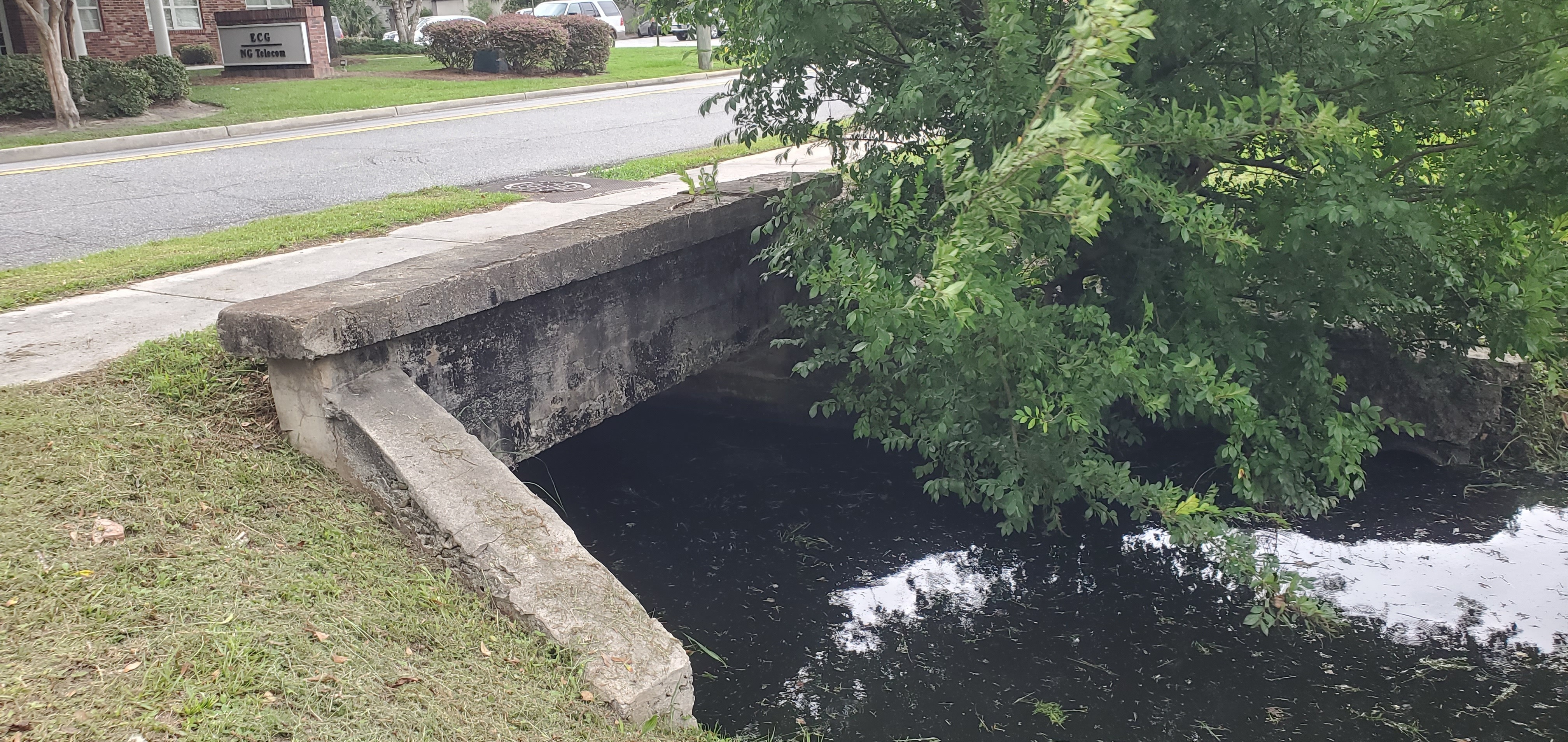 Downstream, N. Toombs St. culvert, Browns Canal, 2023:05:23 15:50:05, 30.8358413, -83.2829765