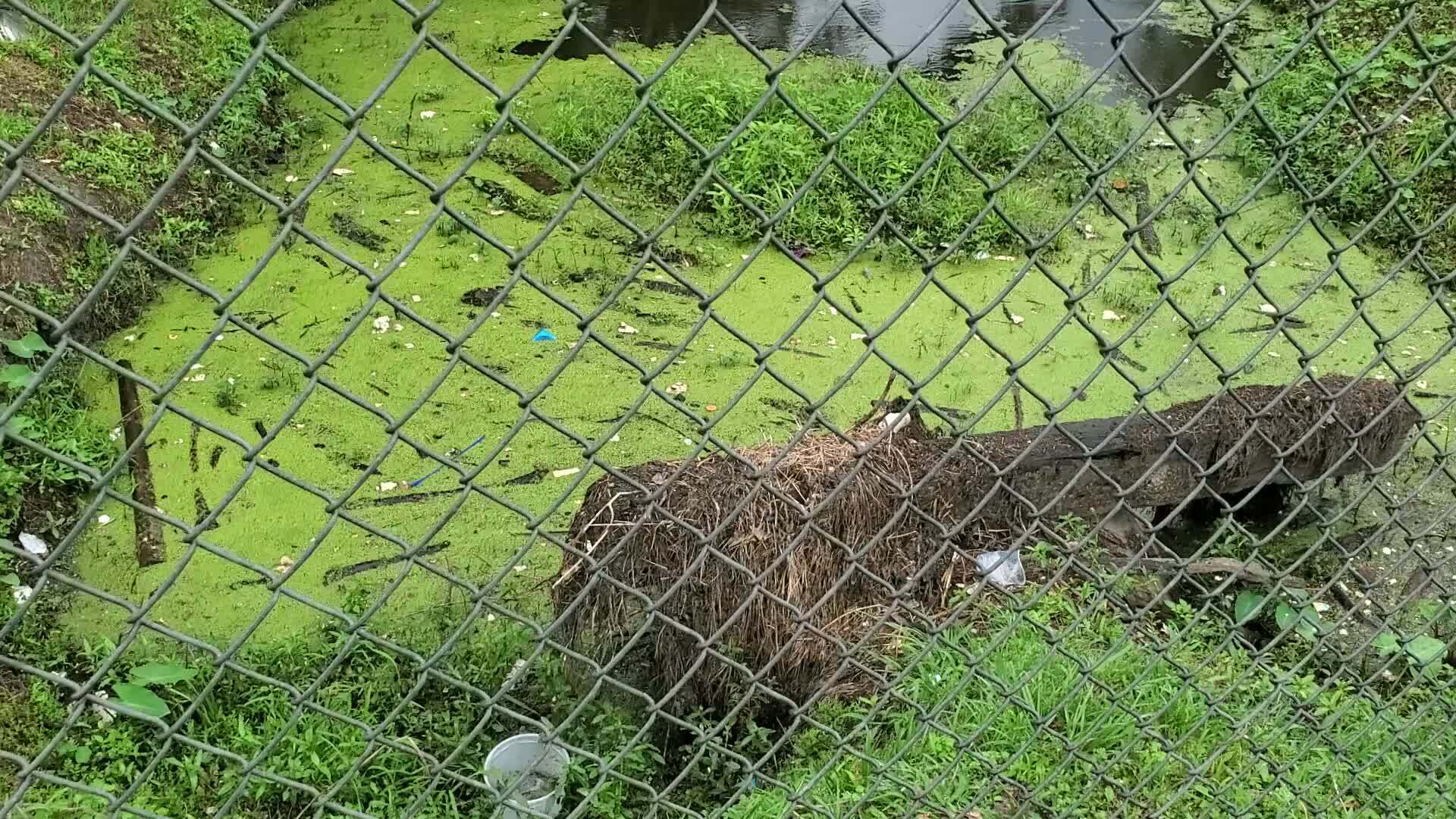 Movie: Trash, Dukes Bay Canal, w. of Oak Street, Southside Rec Center (67M)