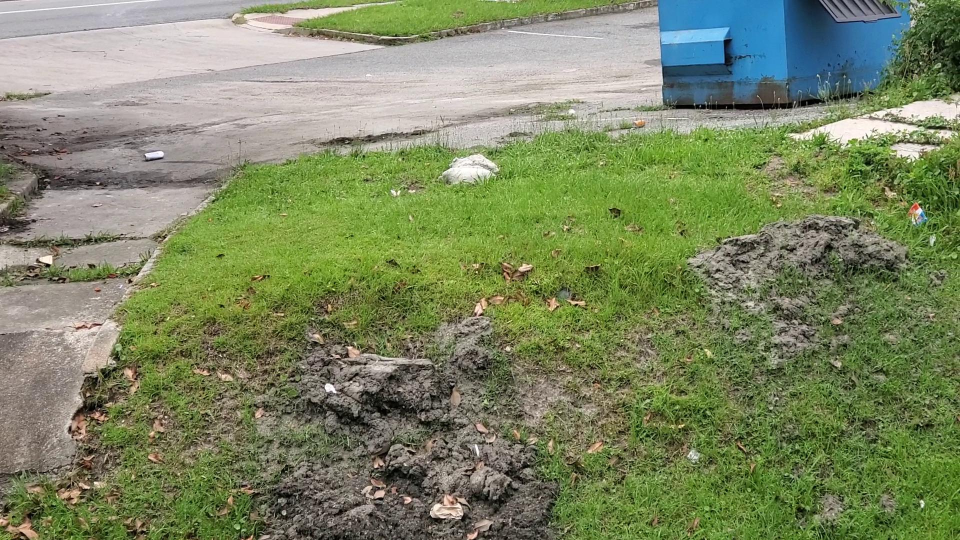 Trash below Mega Mart dumpster at One Mile Branch