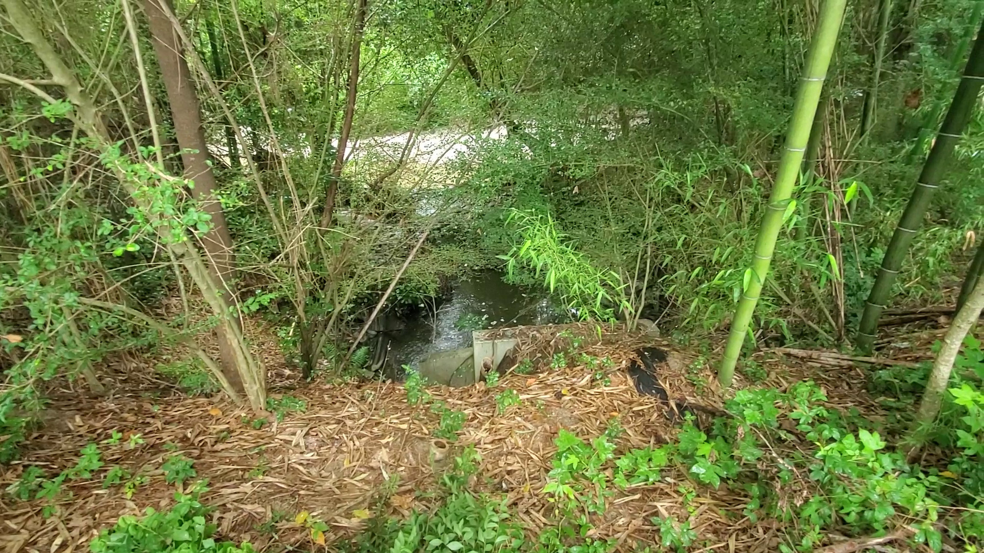 Outflow, detention pond, Baytree Road into Sugar Creek