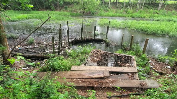 Trash at outflow of detention pond, Baytree Road at Sugar Creek