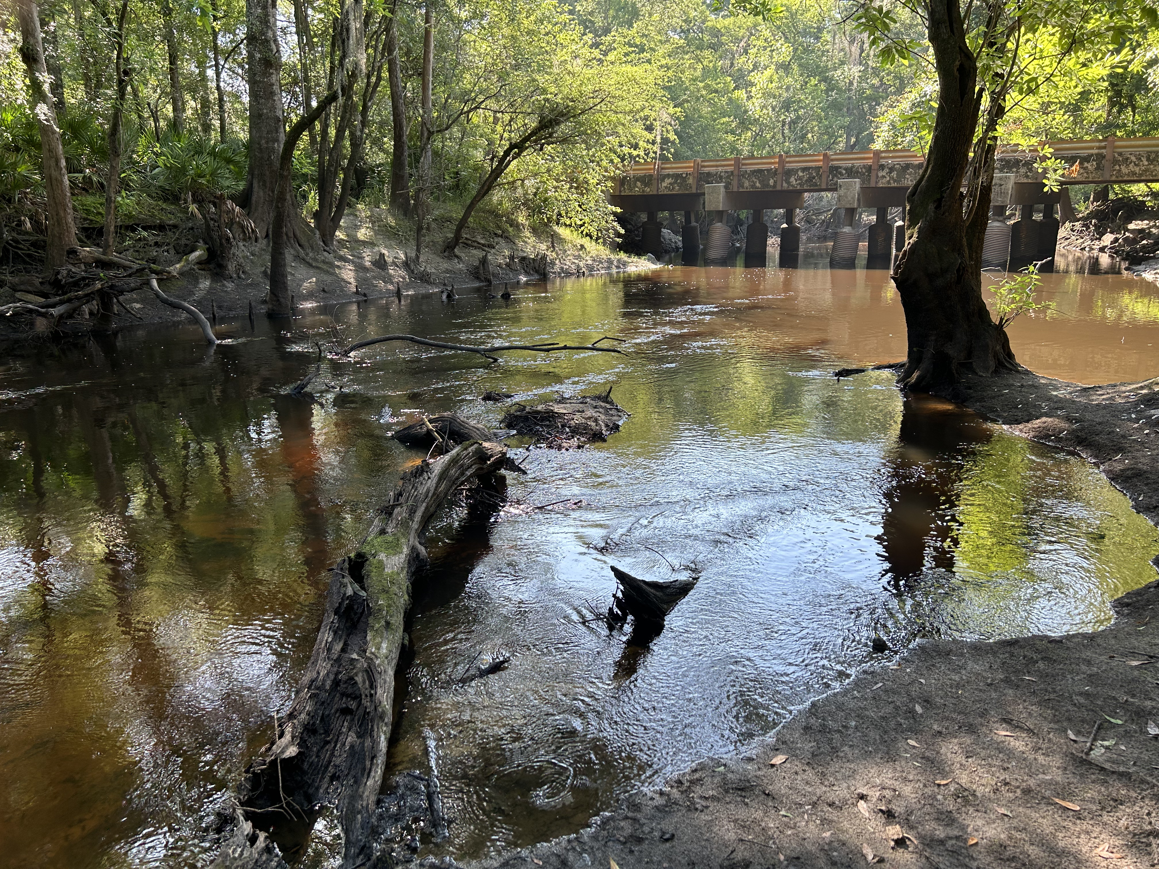 Franklinville, Withlacoochee River @ Frankinville Road 2023-05-25