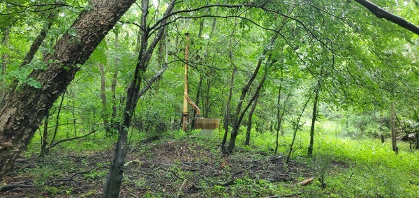 Easement of former Valdosta sewage main --jsq